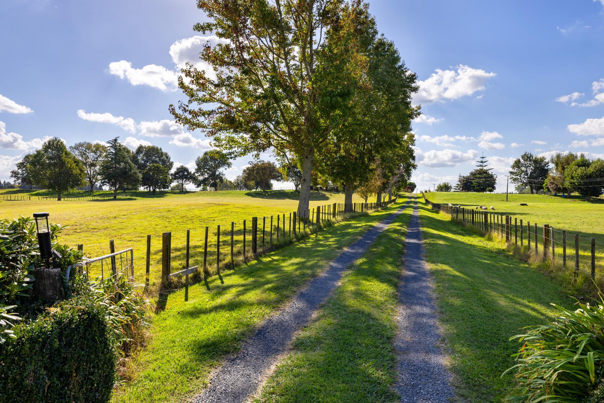 81 McGhie Road, Te Awamutu