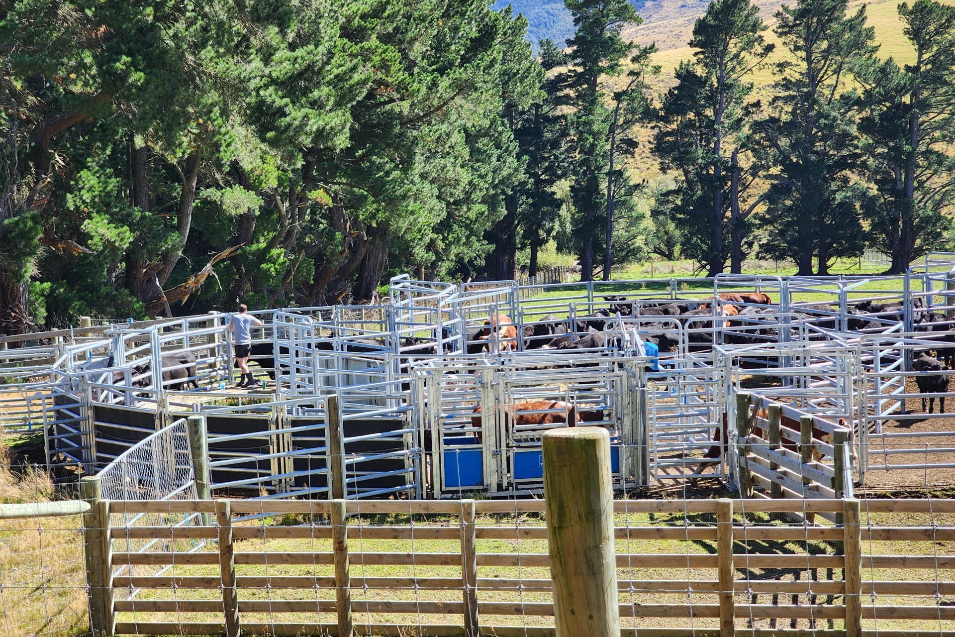 3733 Lees Valley Road, Lees Valley