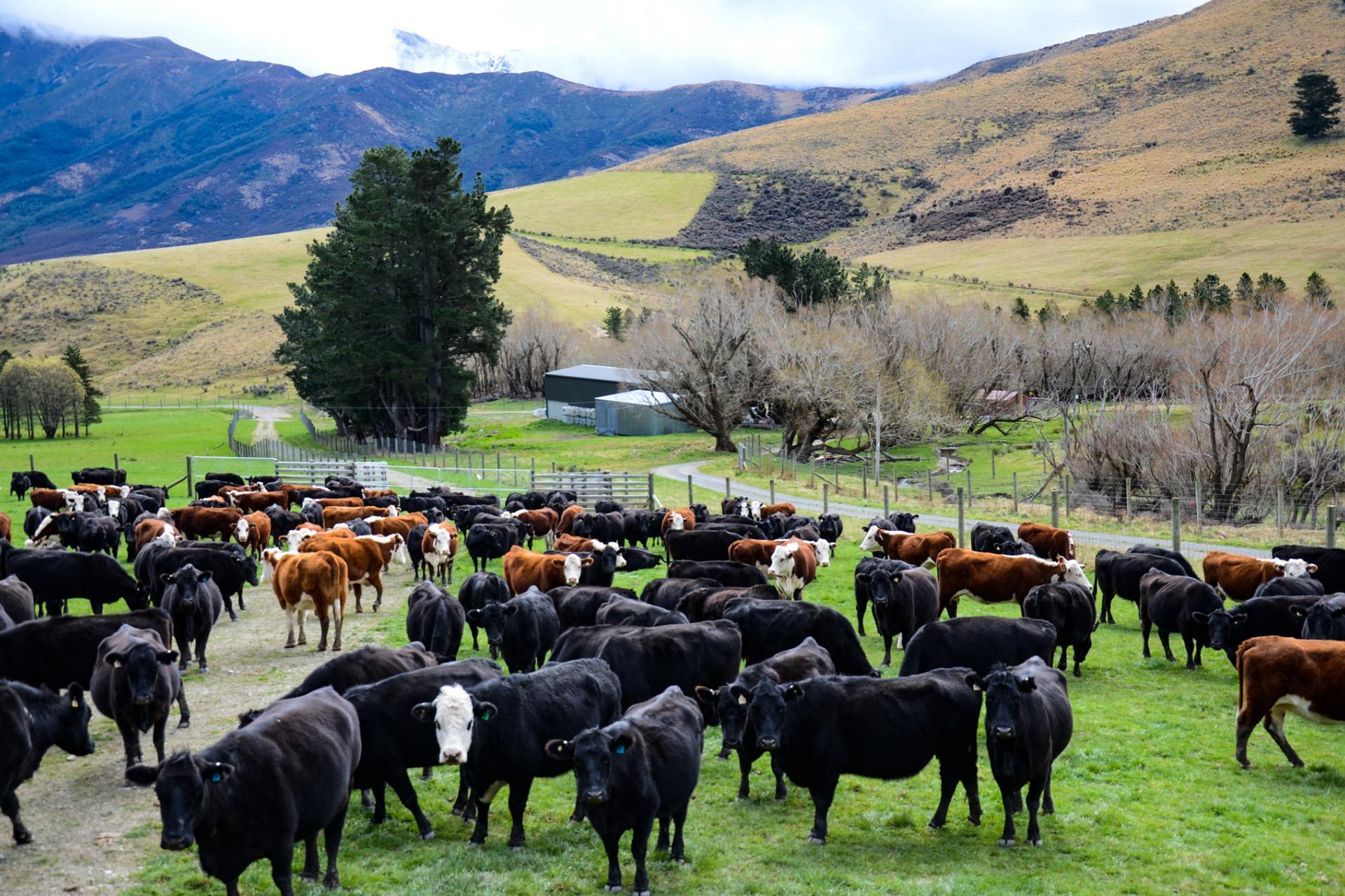 3733 Lees Valley Road, Lees Valley