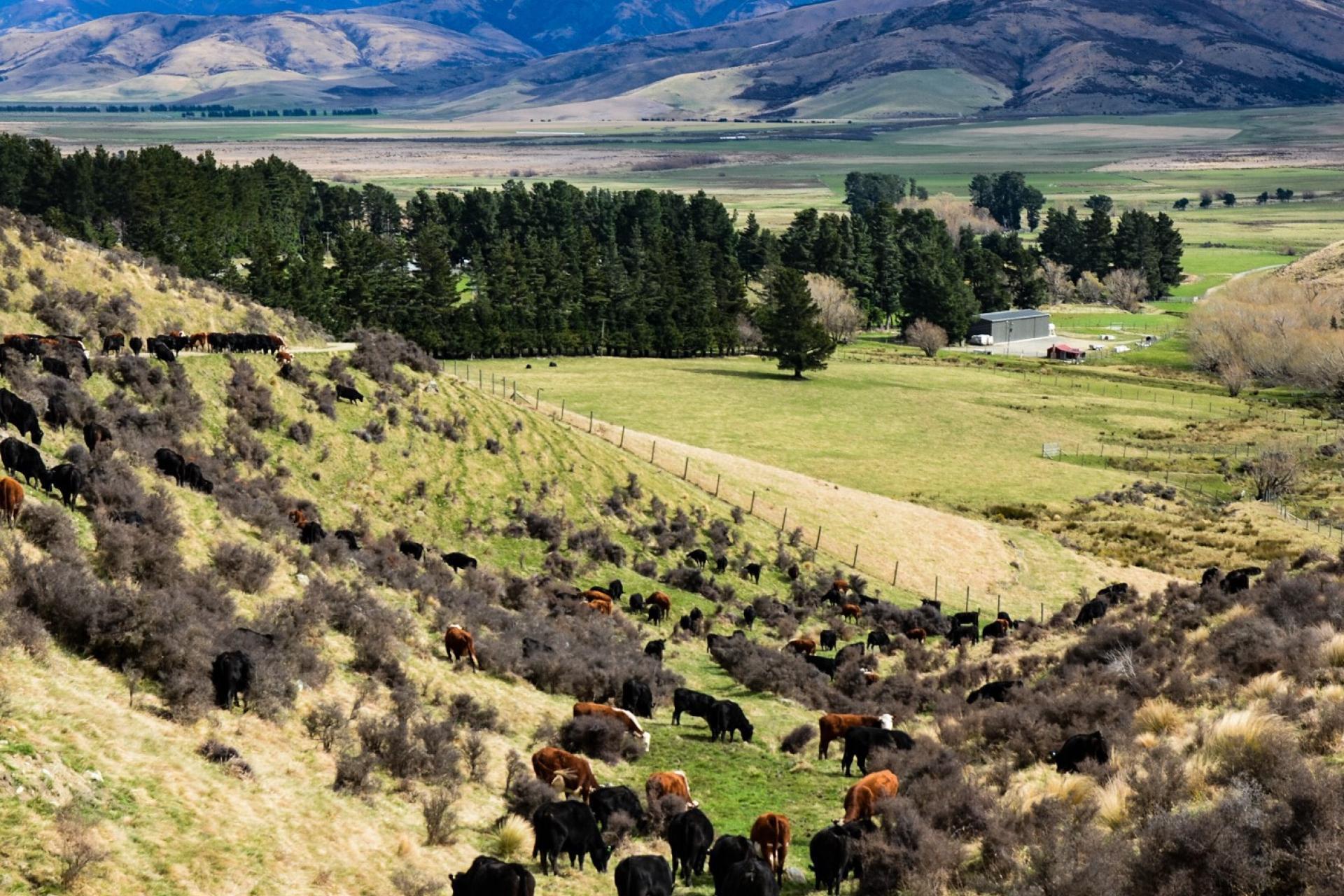 3733 Lees Valley Road, Lees Valley