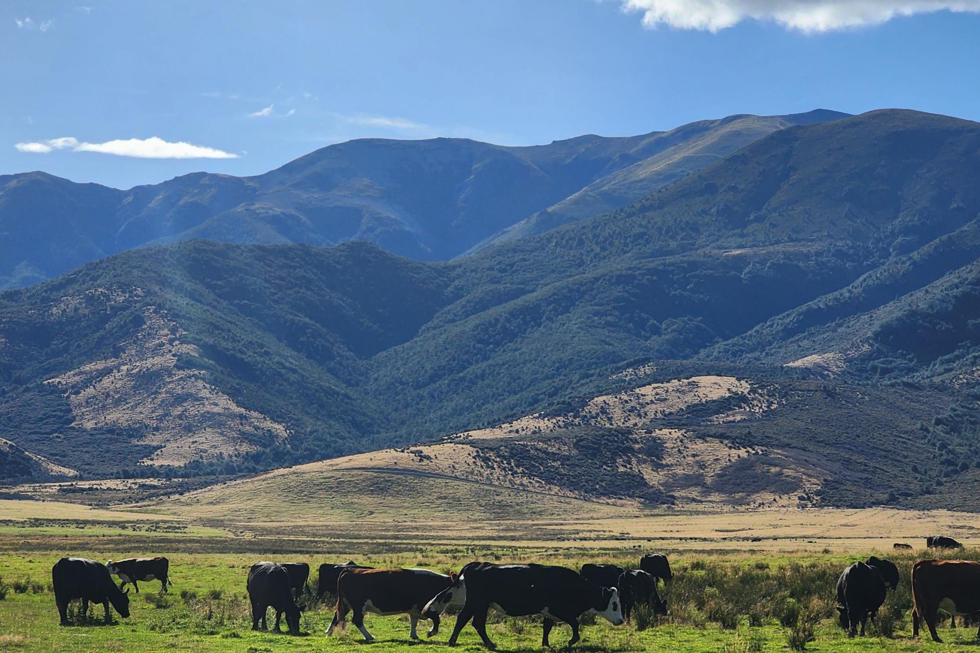 3733 Lees Valley Road, Lees Valley