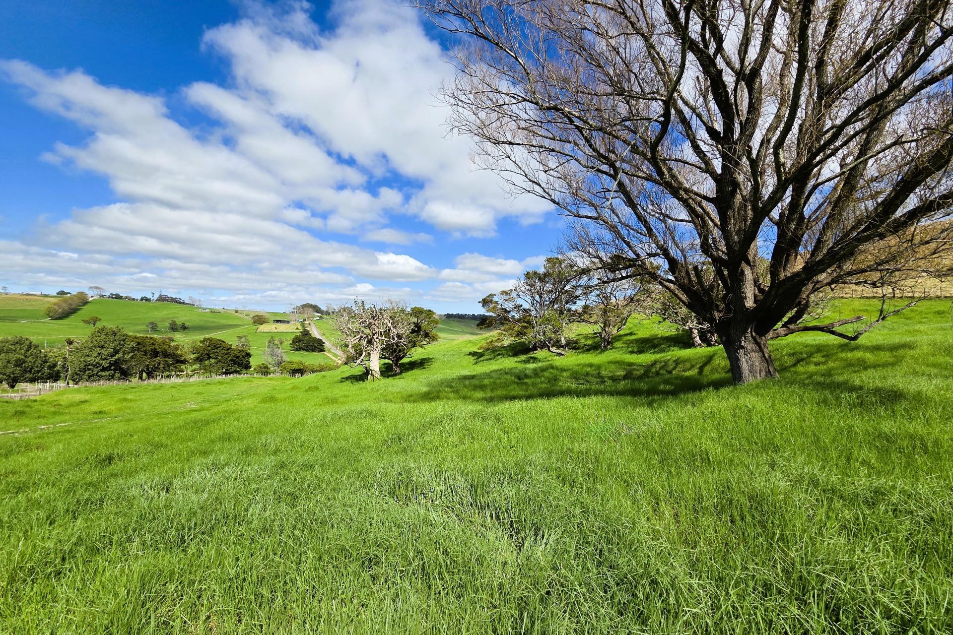 Morrison Road, Dargaville