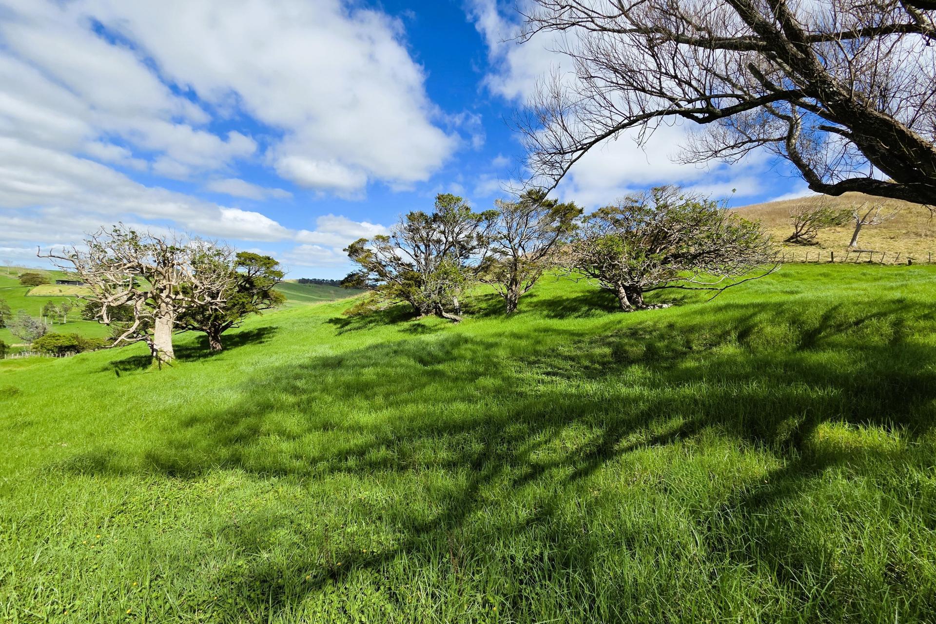 Morrison Road, Dargaville