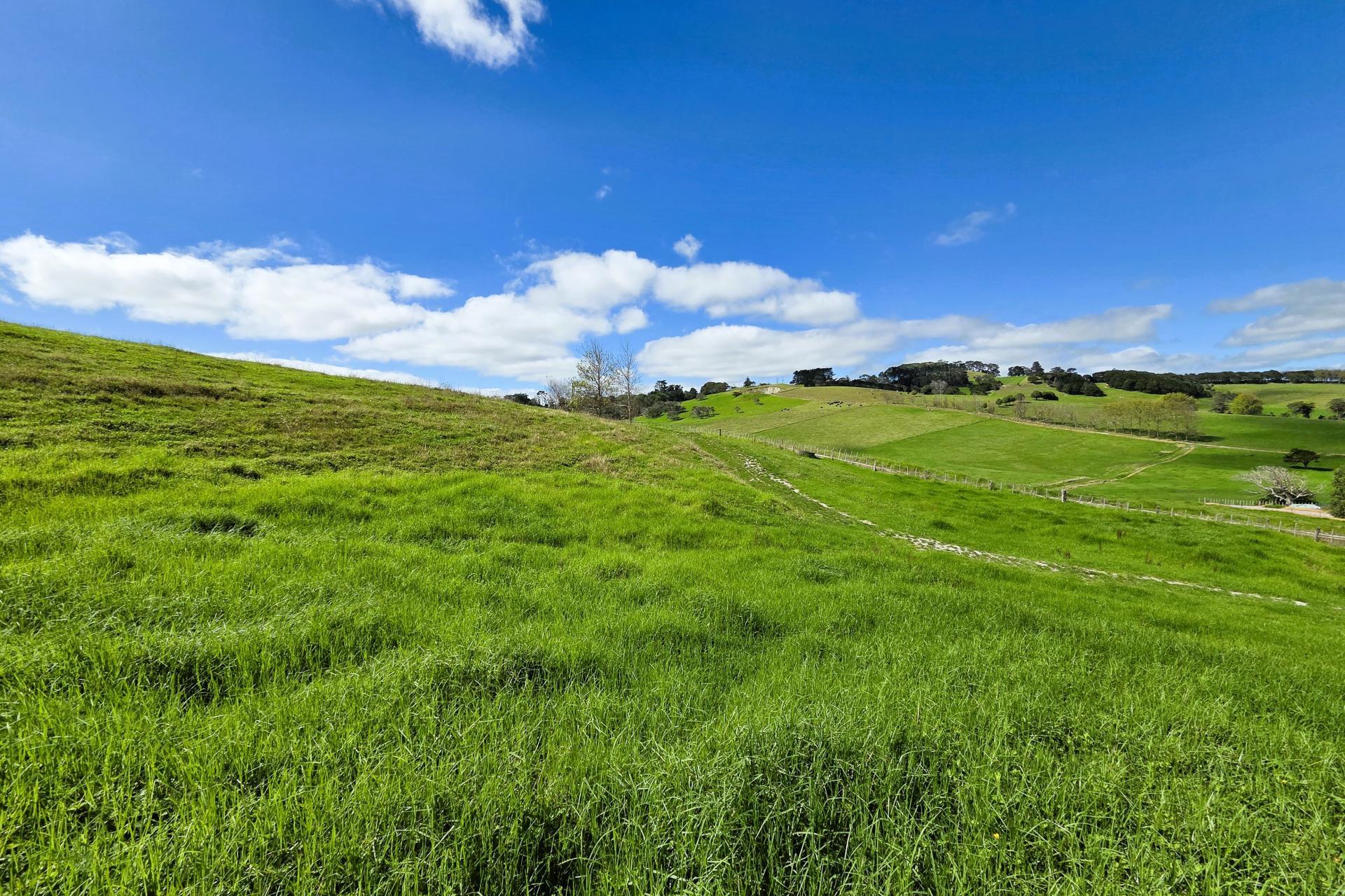Morrison Road, Dargaville