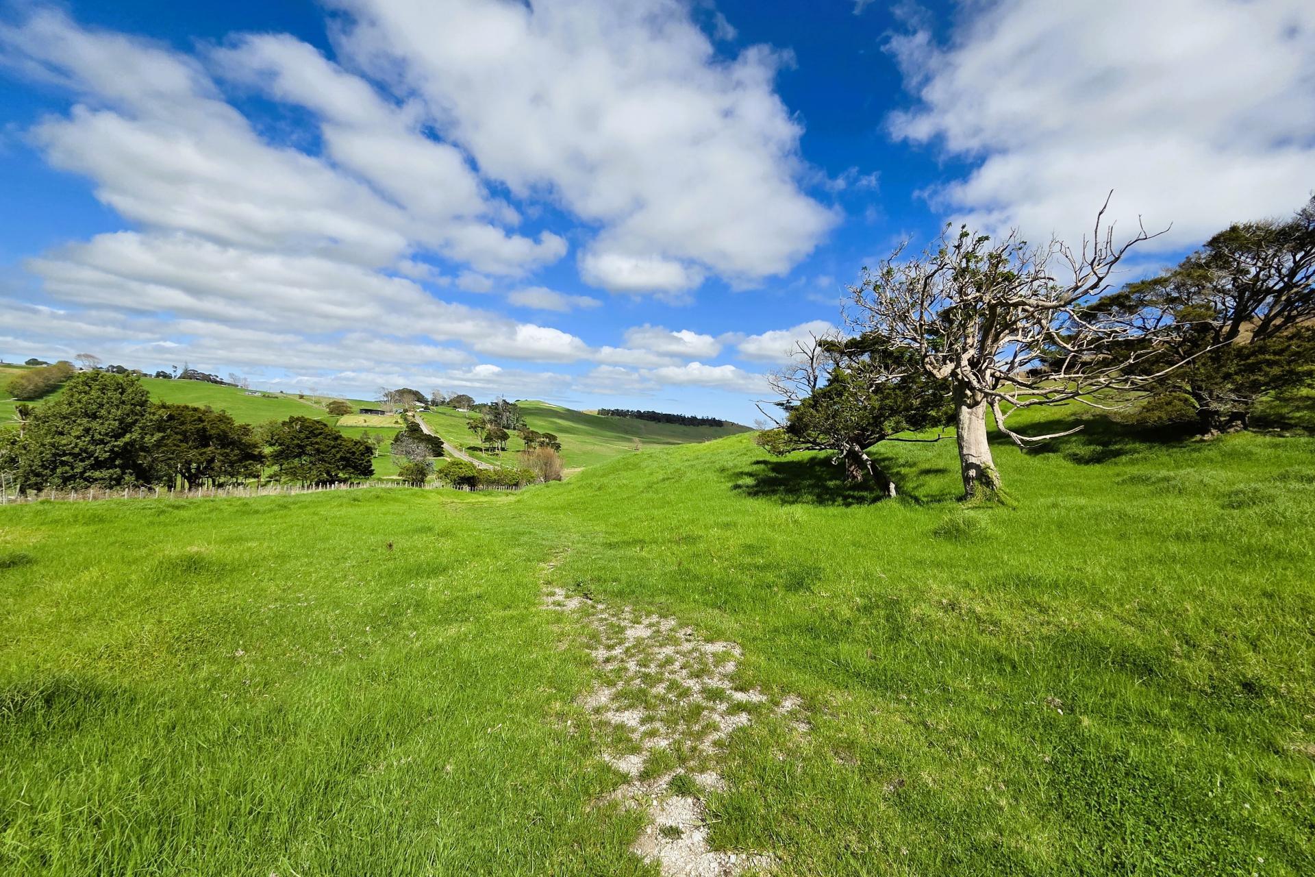 Morrison Road, Dargaville