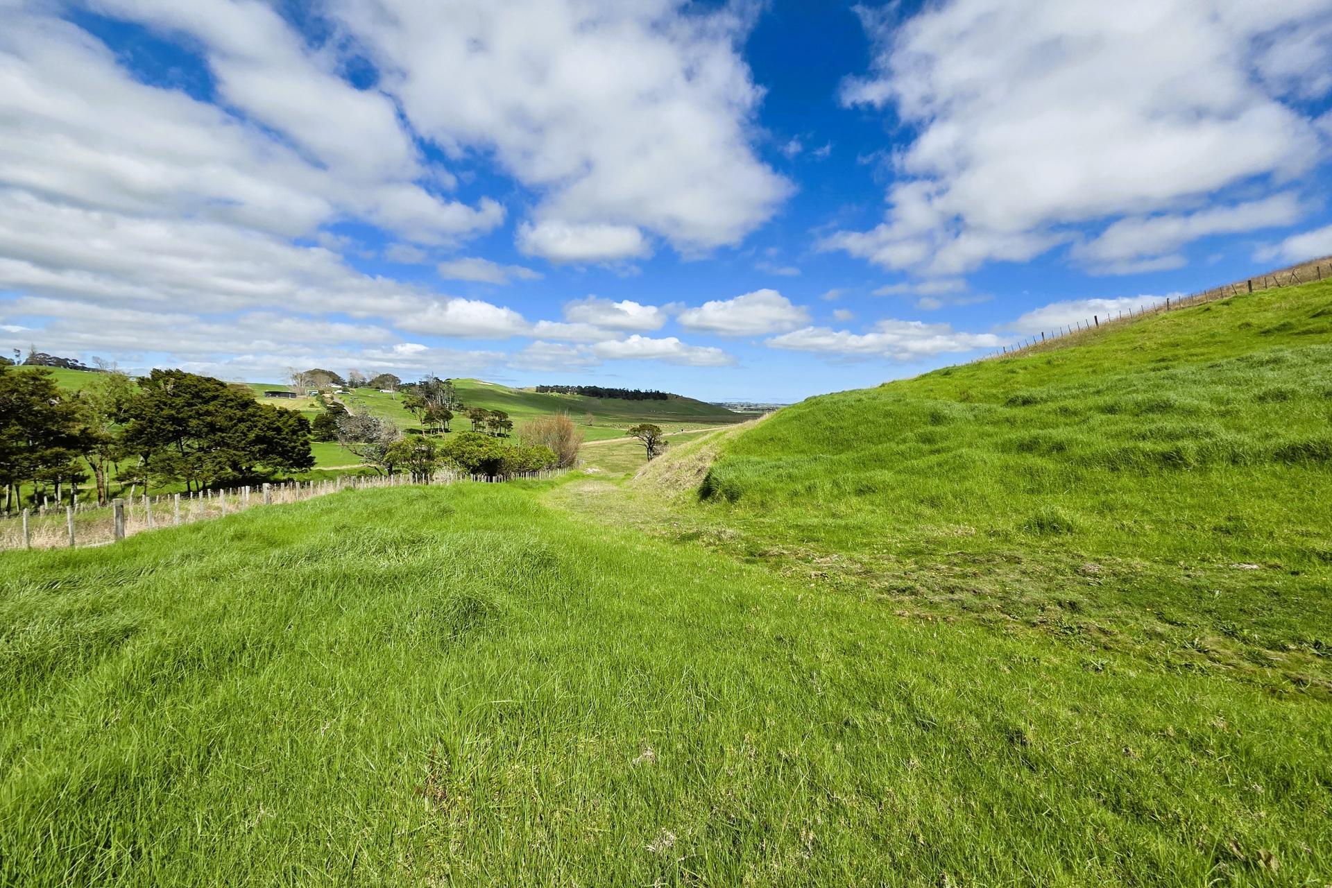Morrison Road, Dargaville