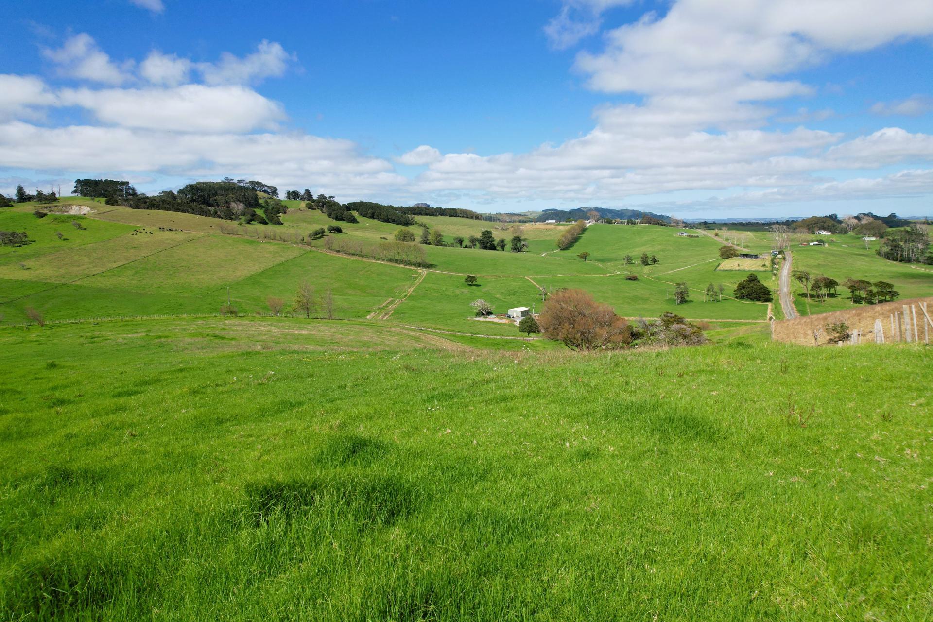 Morrison Road, Dargaville