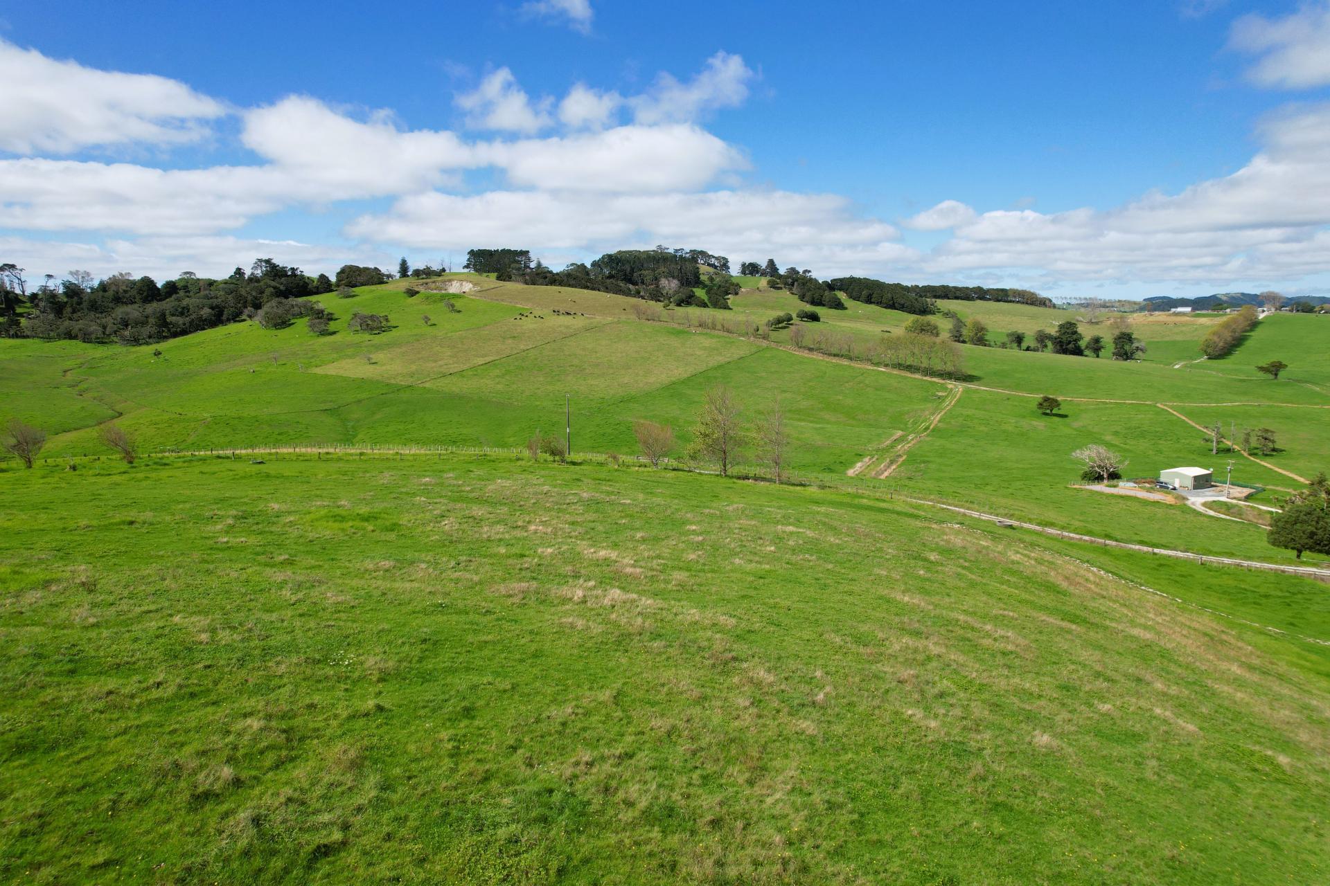 Morrison Road, Dargaville
