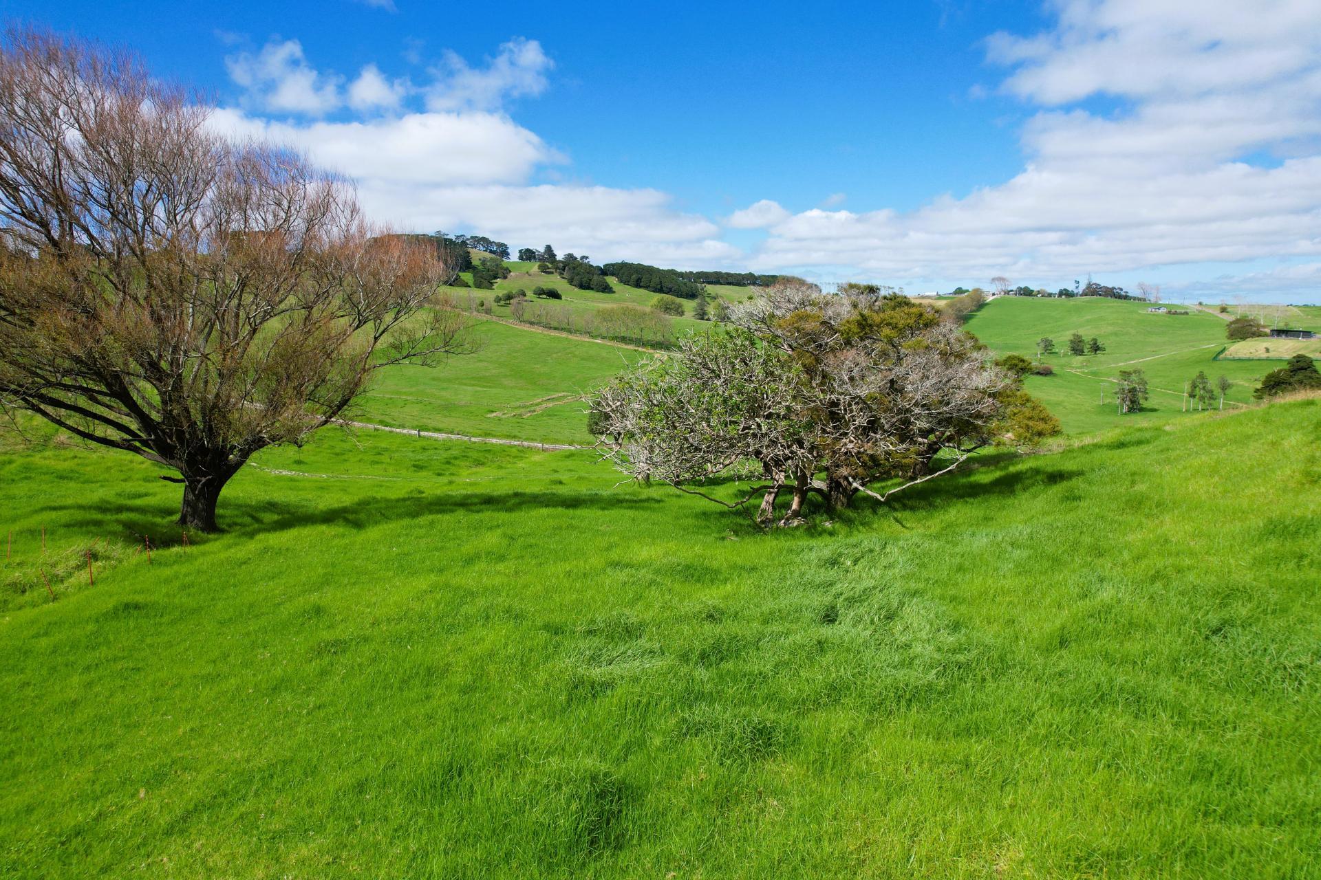 Morrison Road, Dargaville