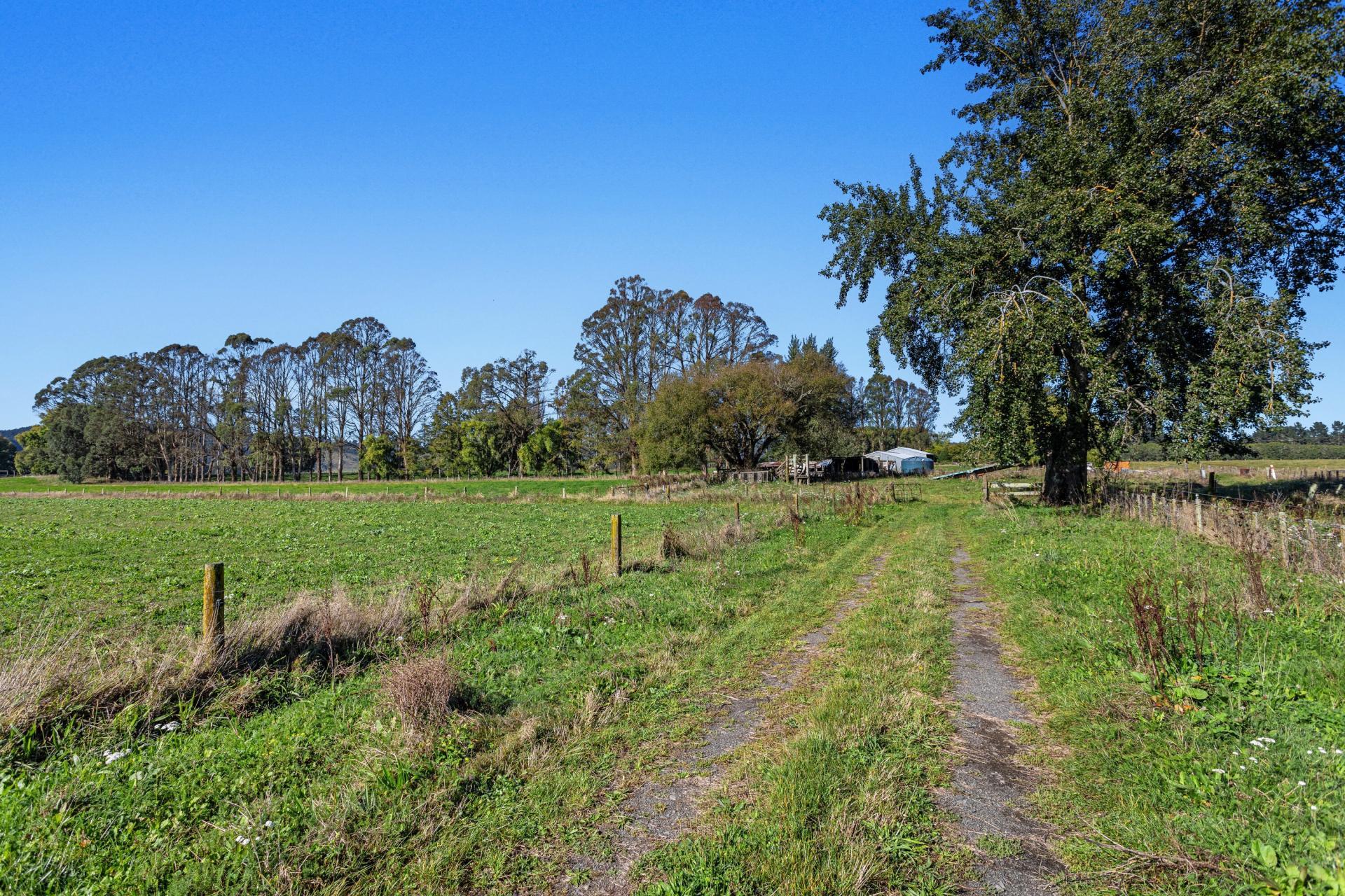 1072 Main Road, Murupara