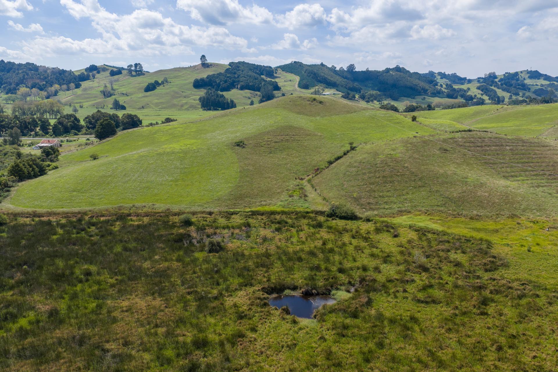 Mason Road, Whangarei Surrounds