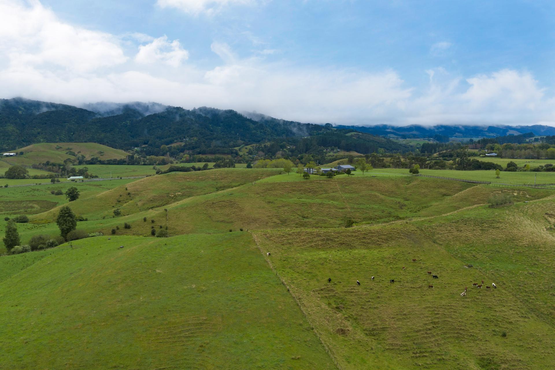 343B Gelling Road, Hunua