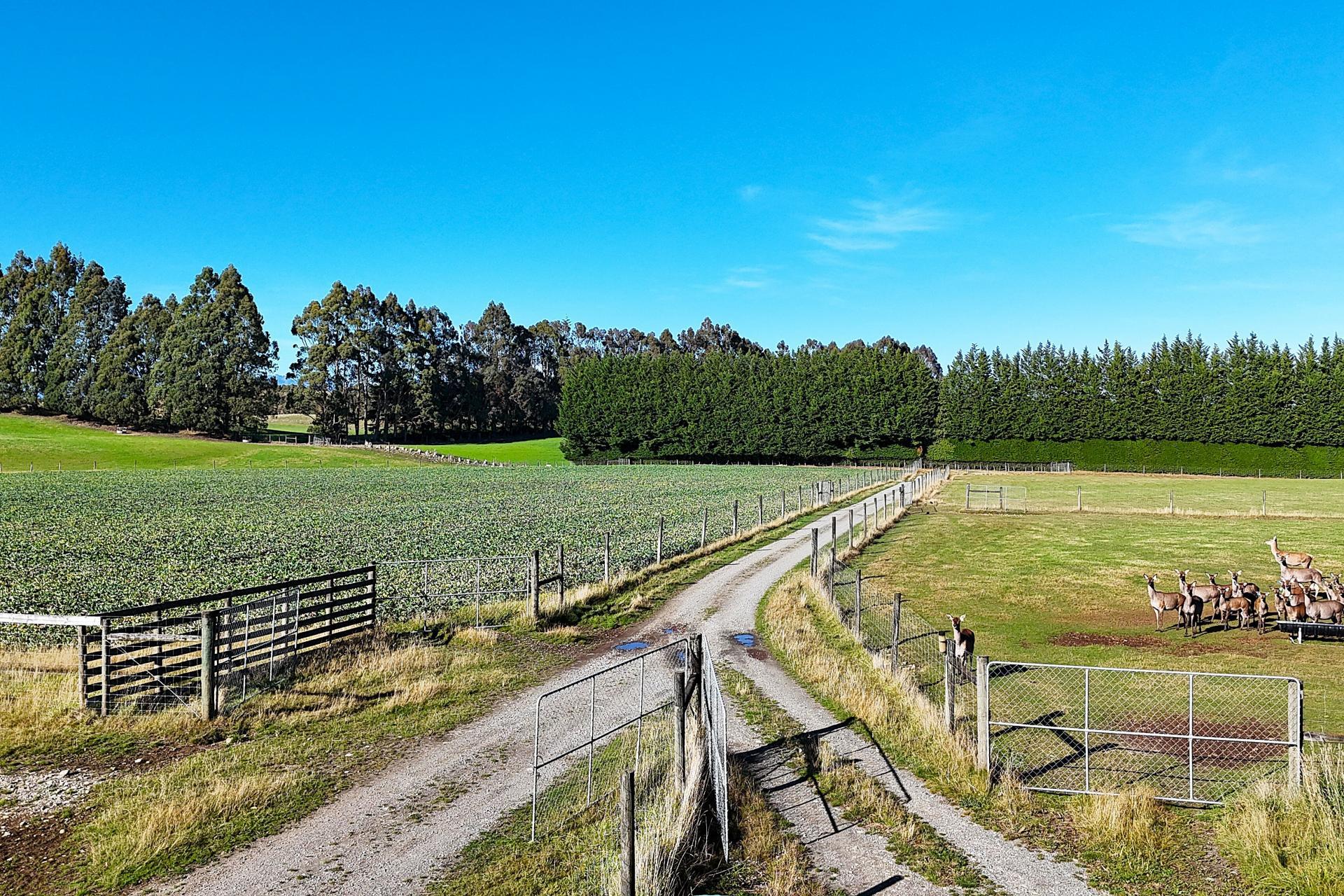 140 Tutoko Lane, Te Anau