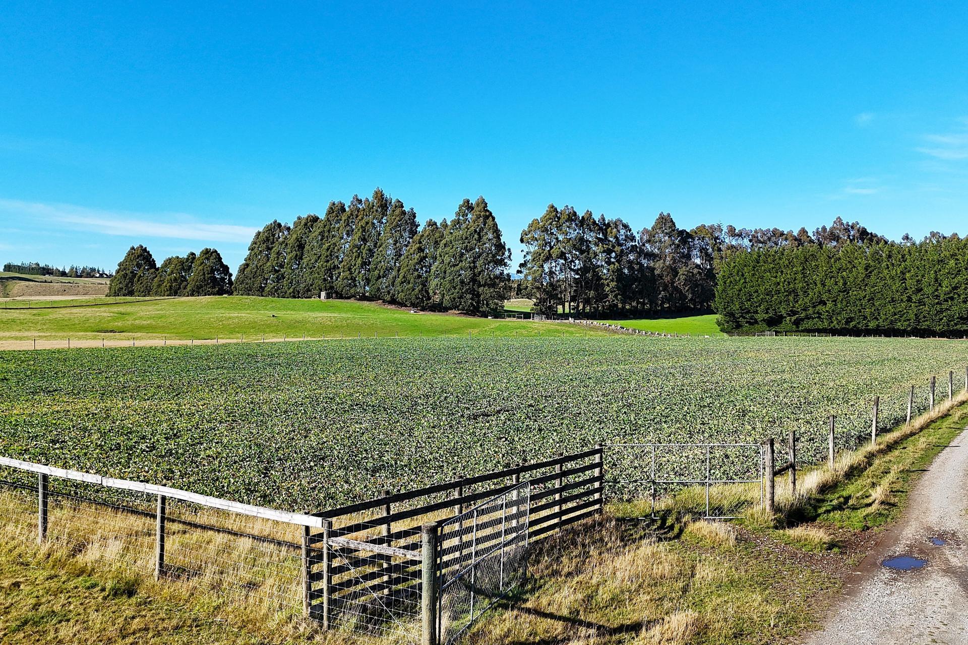 140 Tutoko Lane, Te Anau