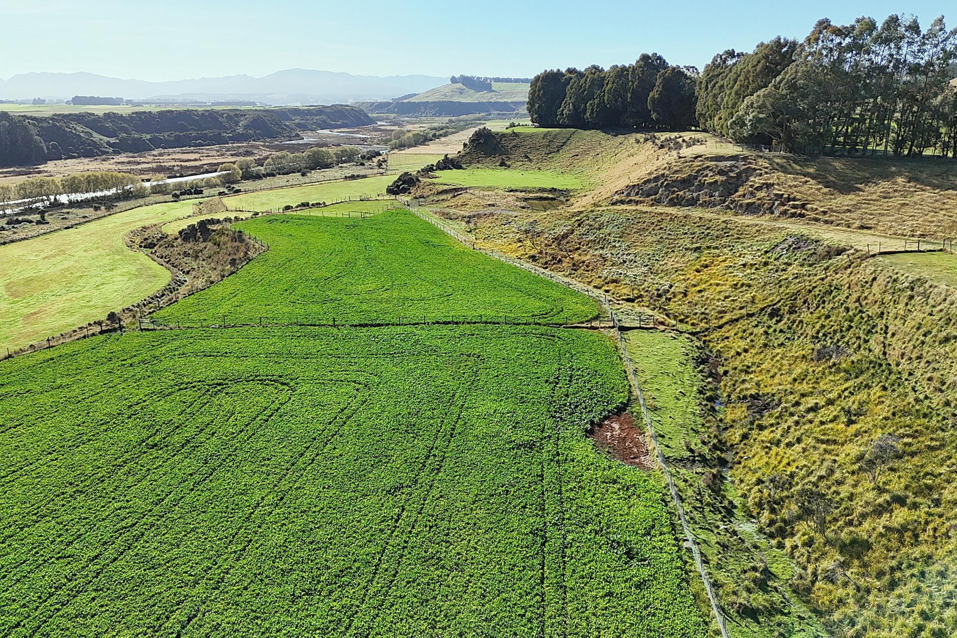 140 Tutoko Lane, Te Anau