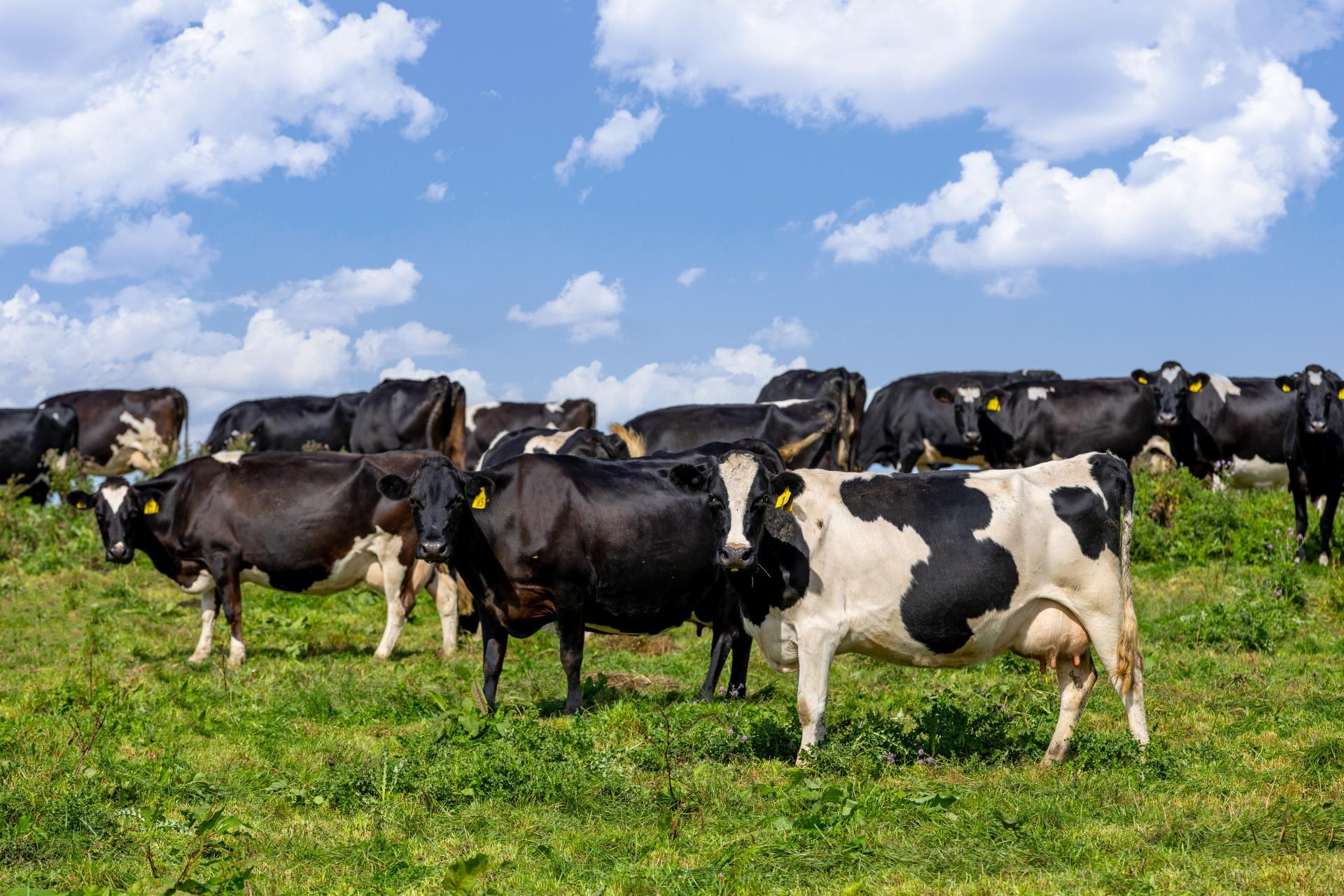 18 Hodgson Road, Te Pahu