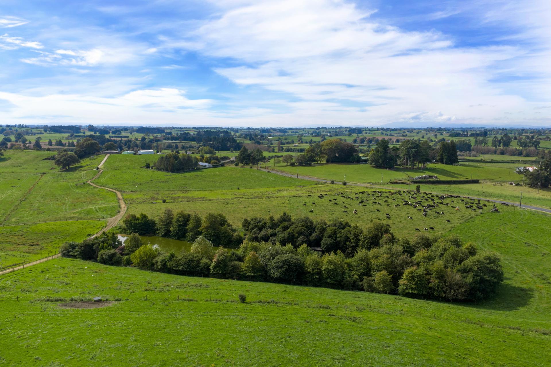 18 Hodgson Road, Te Pahu