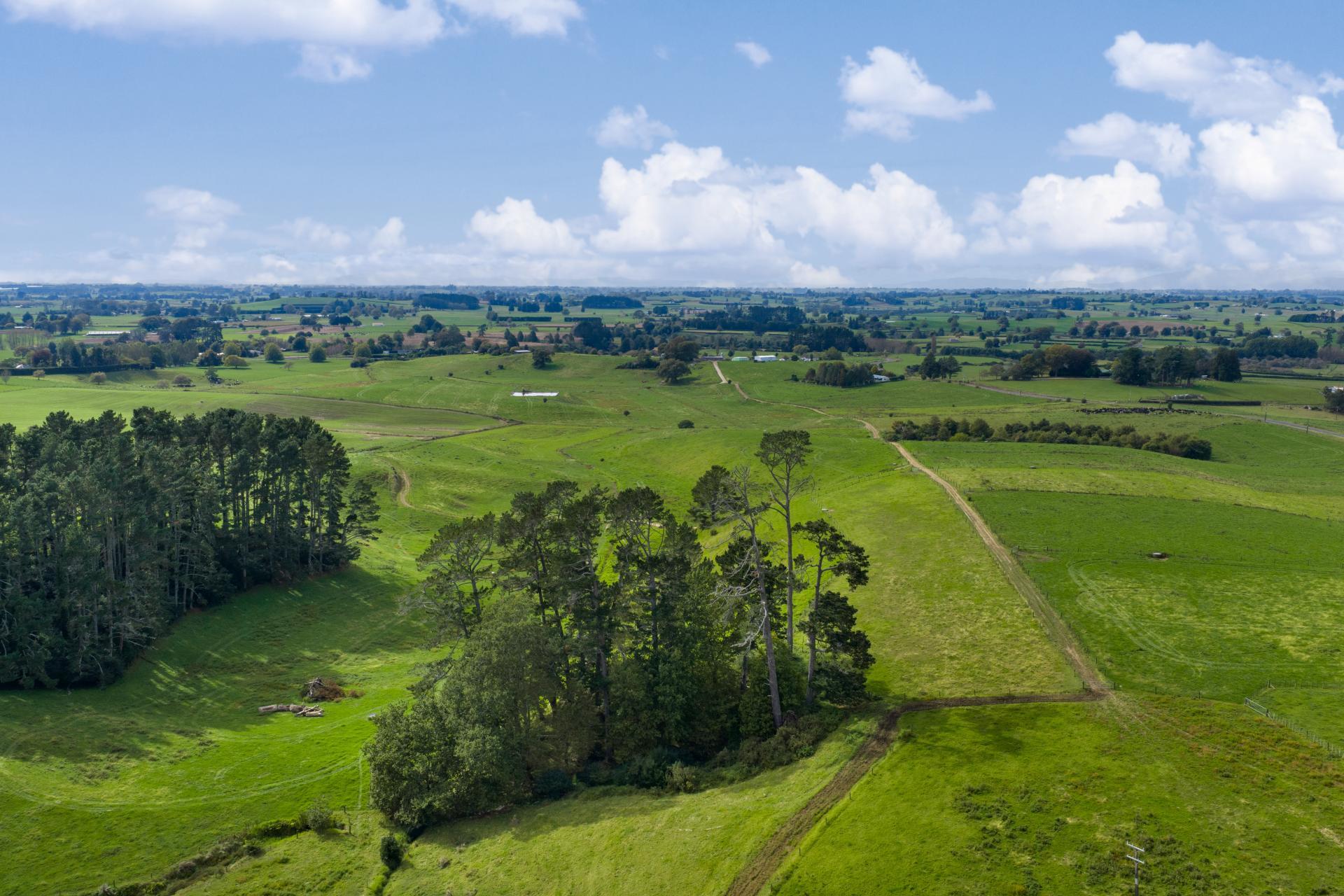 18 Hodgson Road, Te Pahu