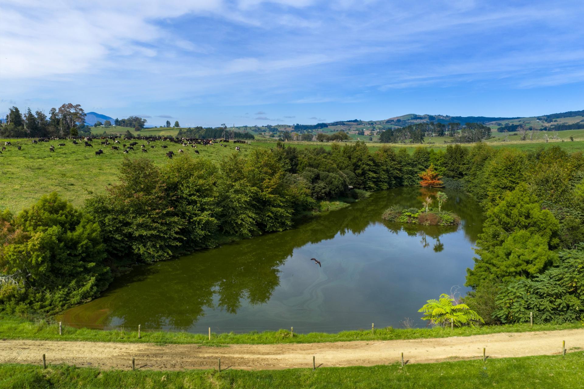 18 Hodgson Road, Te Pahu