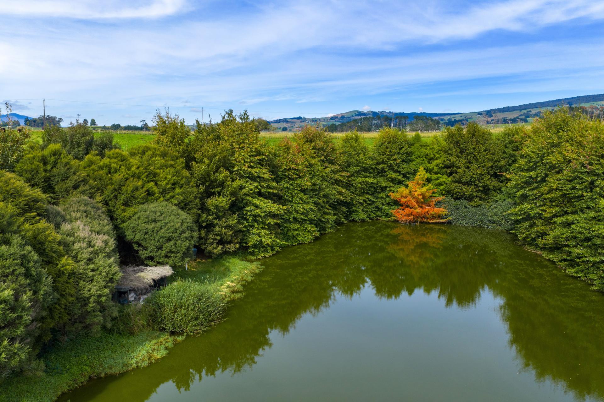 18 Hodgson Road, Te Pahu