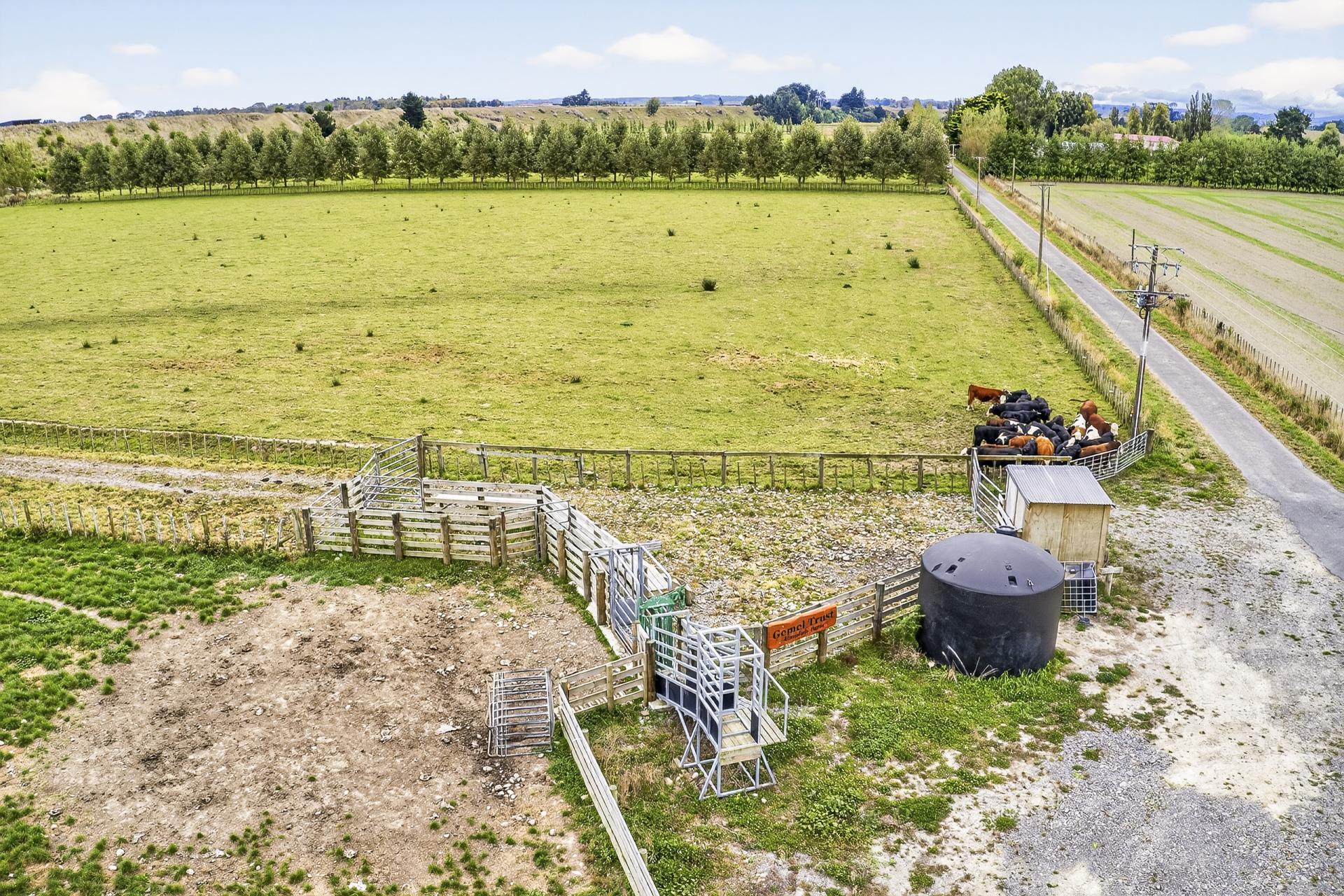 206 Almadale Road, Cheltenham