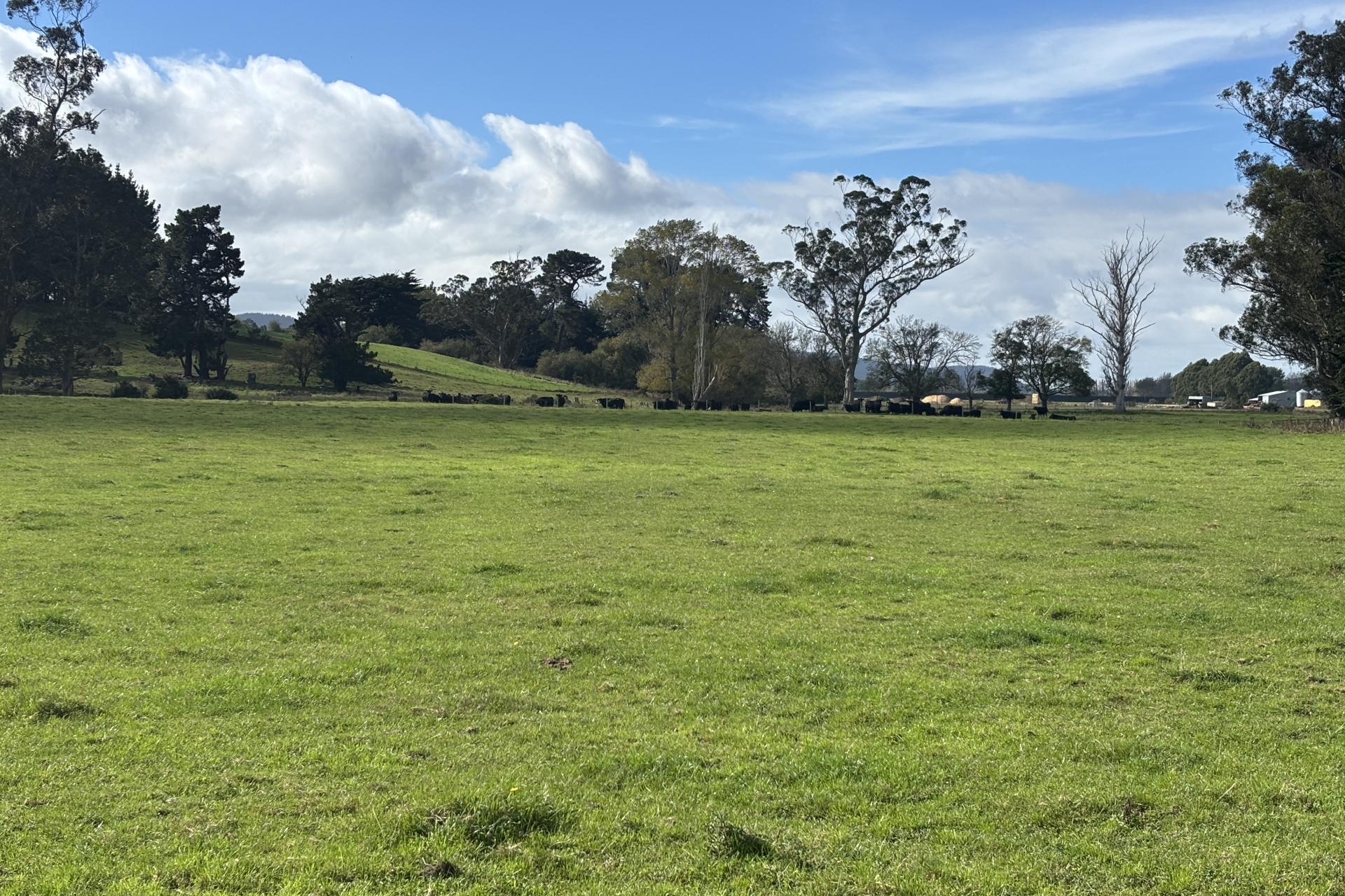 Blacks Road, Palmerston