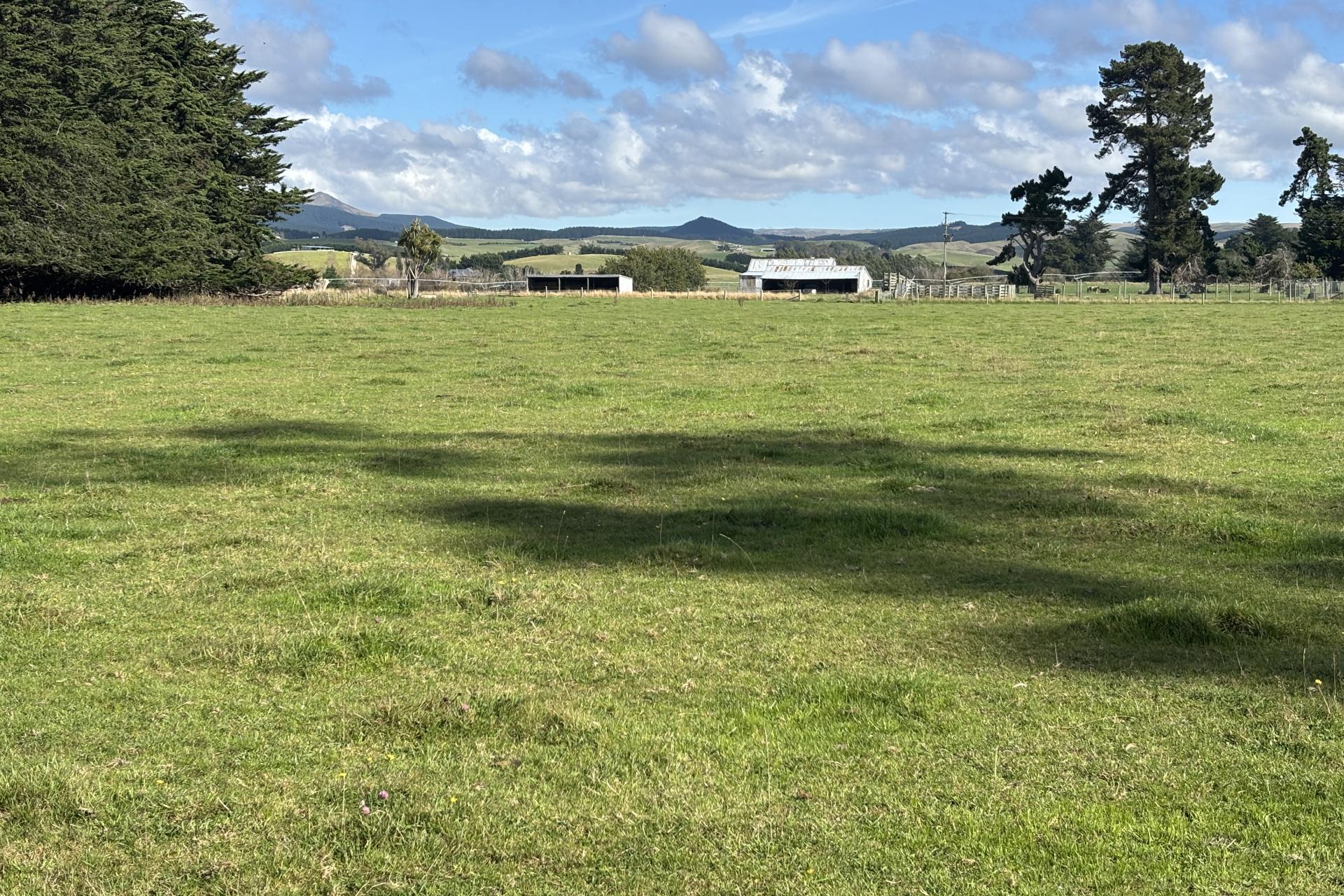 Blacks Road, Palmerston