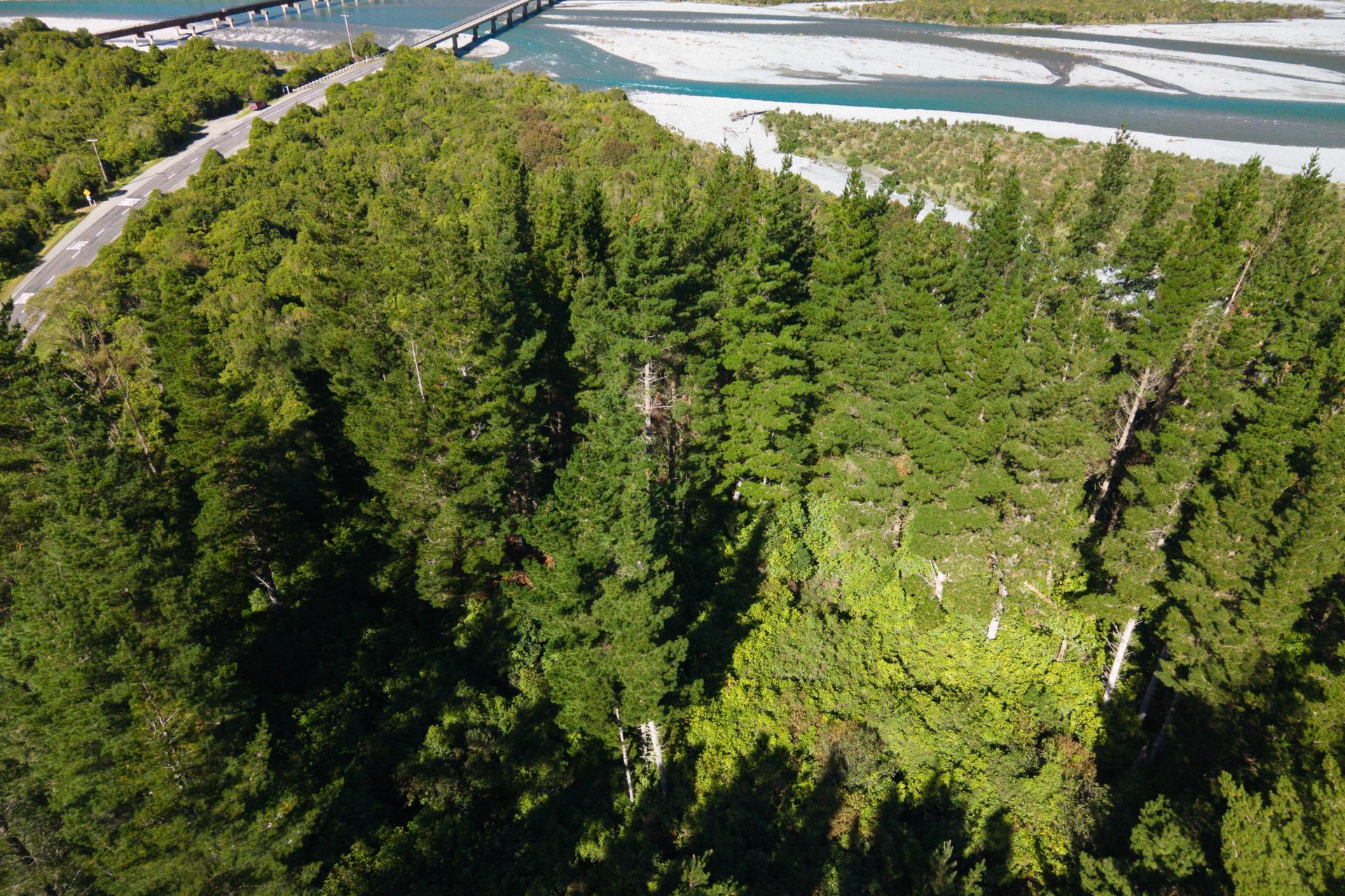 Bell Hill Road, Inchbonnie