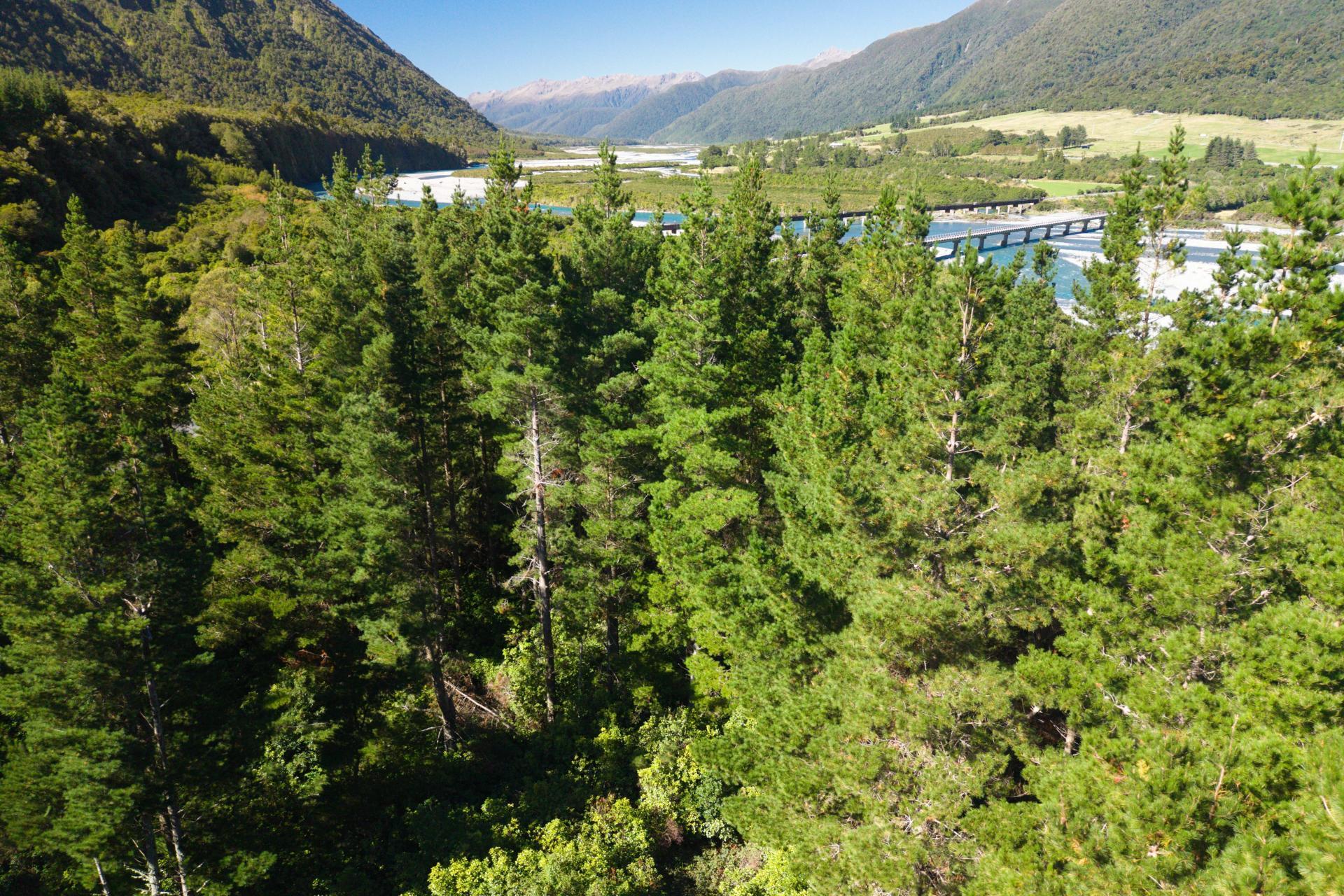 Bell Hill Road, Inchbonnie