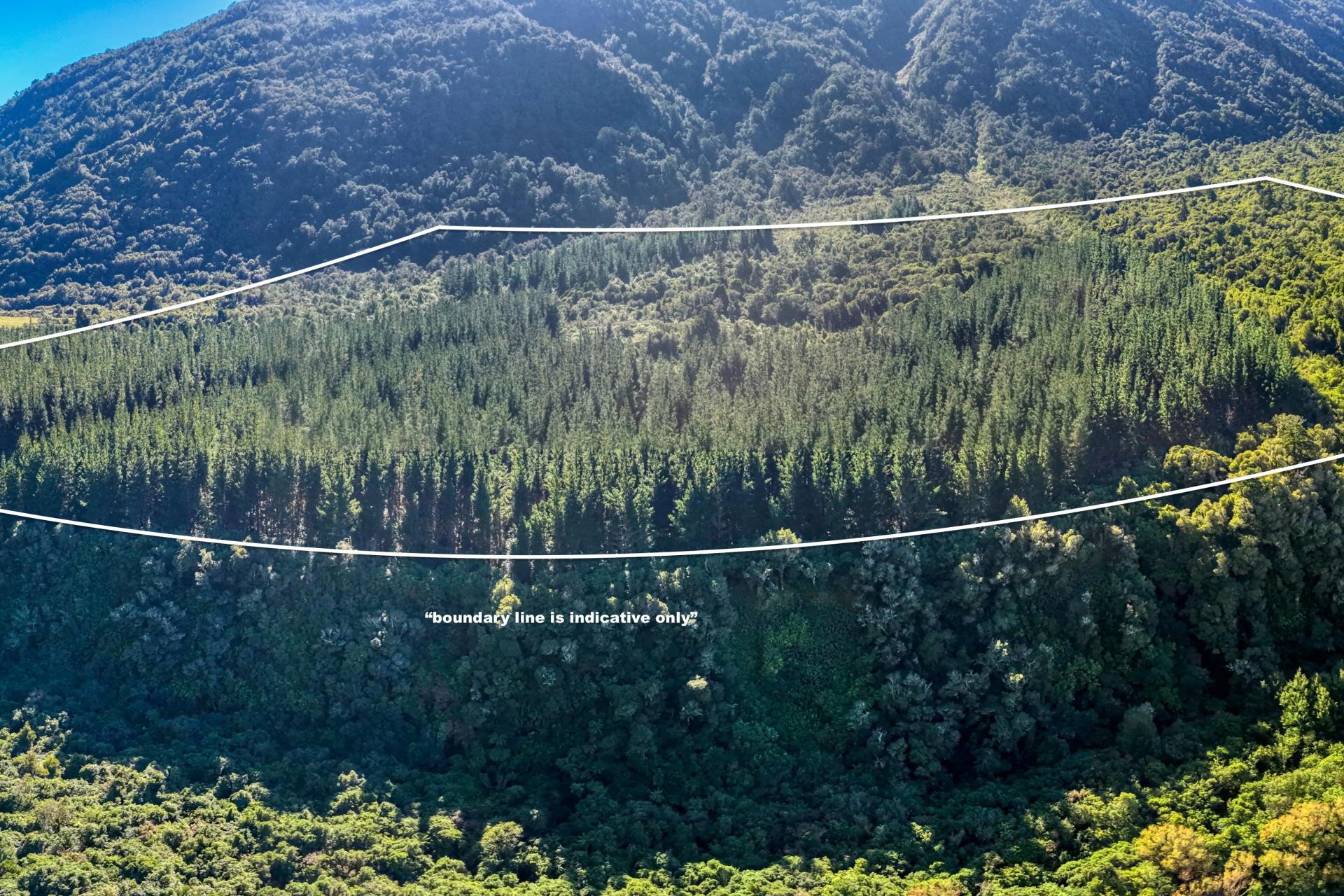 Bell Hill Road, Inchbonnie