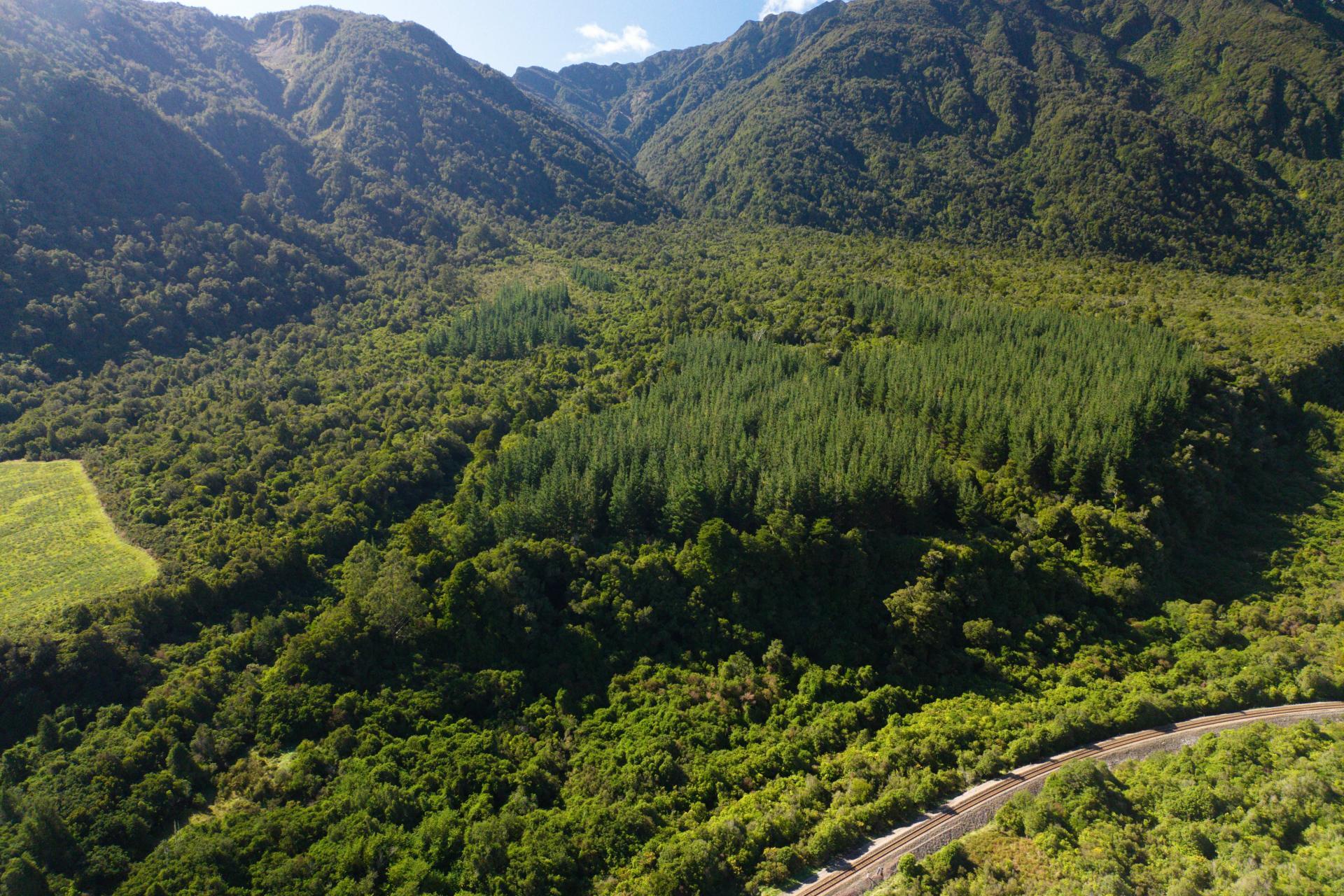 Bell Hill Road, Inchbonnie