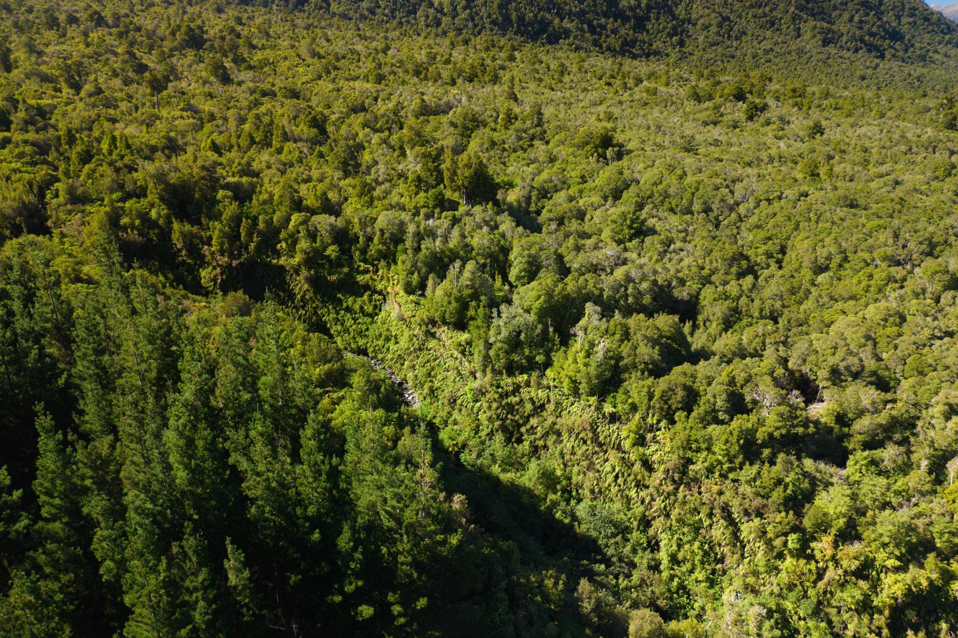 Bell Hill Road, Inchbonnie