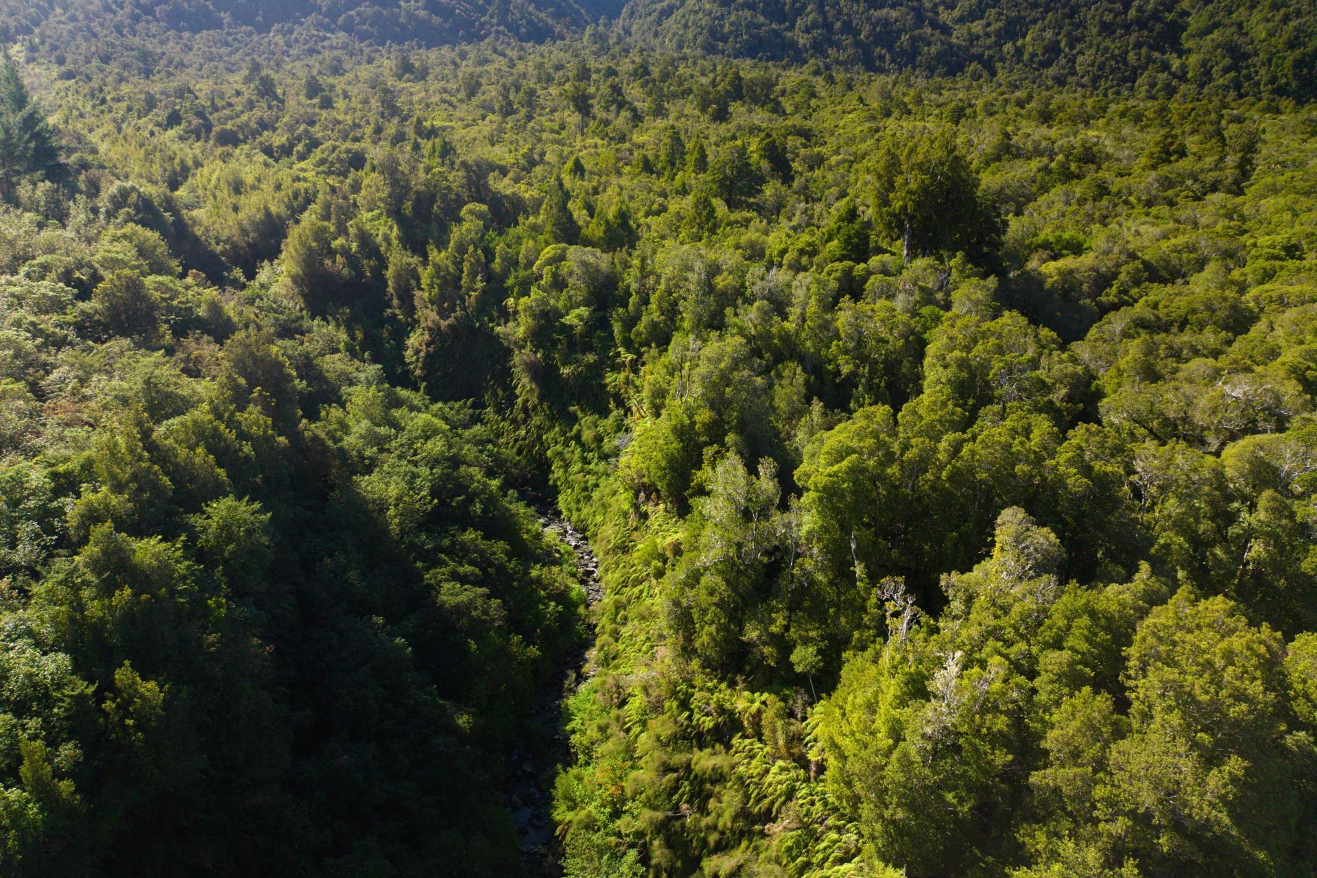 Bell Hill Road, Inchbonnie