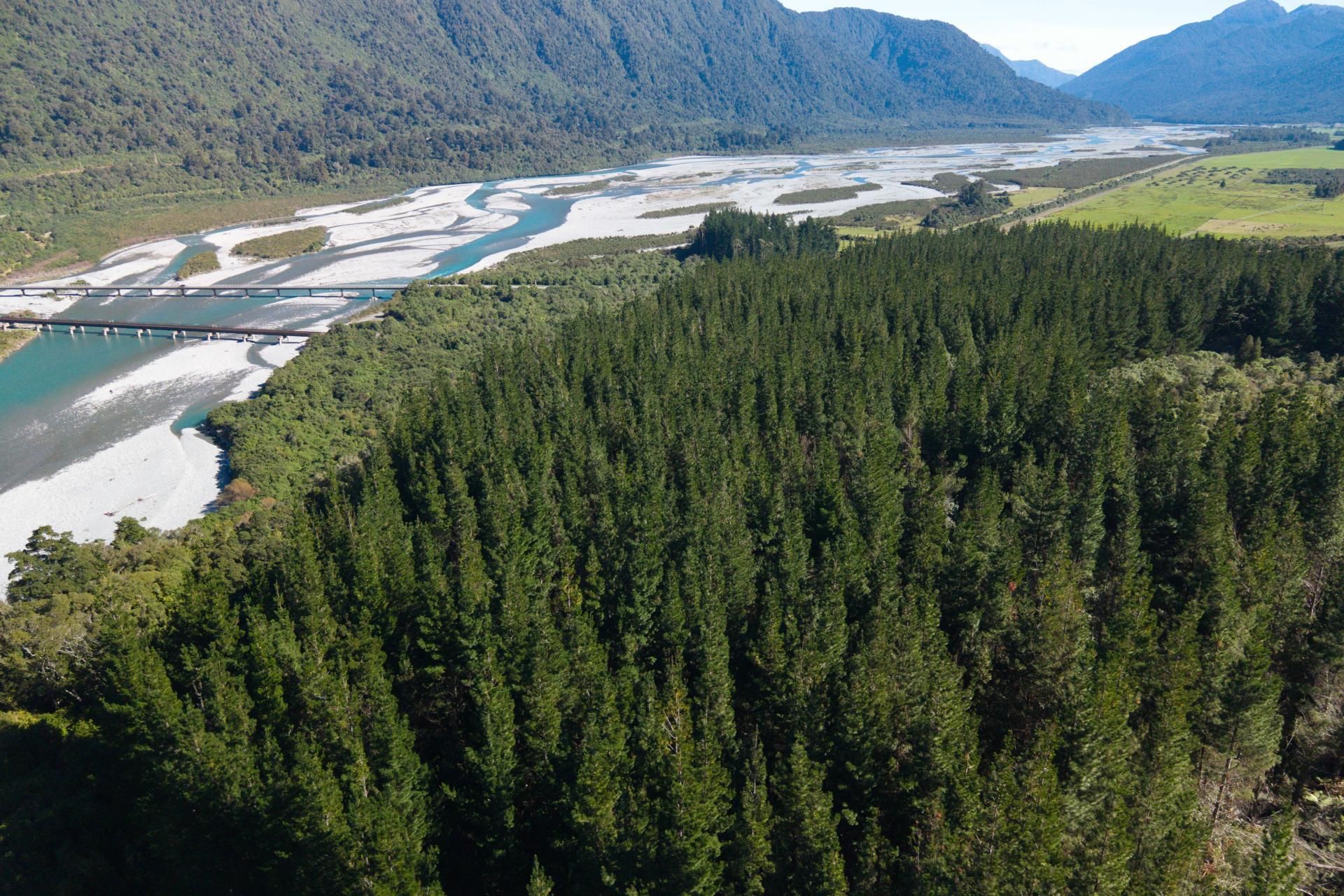 Bell Hill Road, Inchbonnie