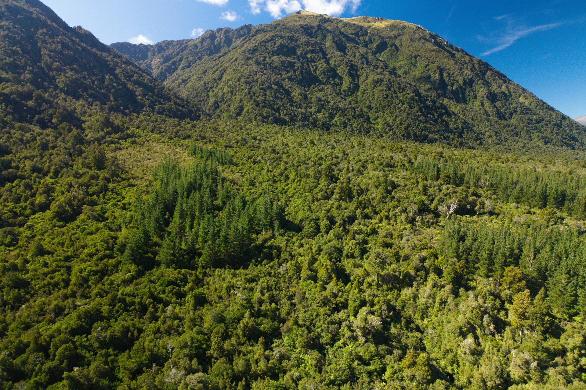 Bell Hill Road, Inchbonnie