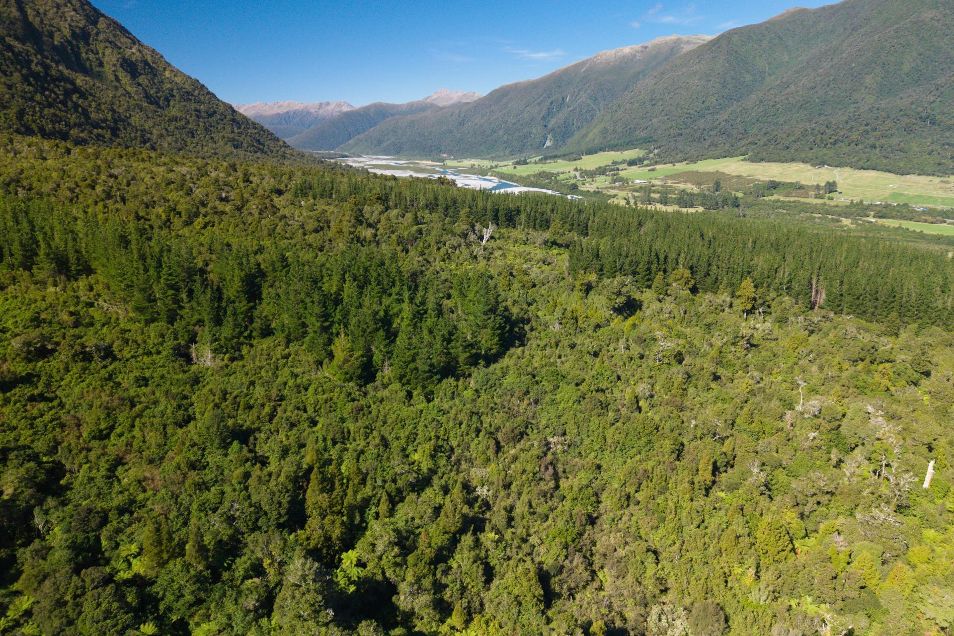 Bell Hill Road, Inchbonnie