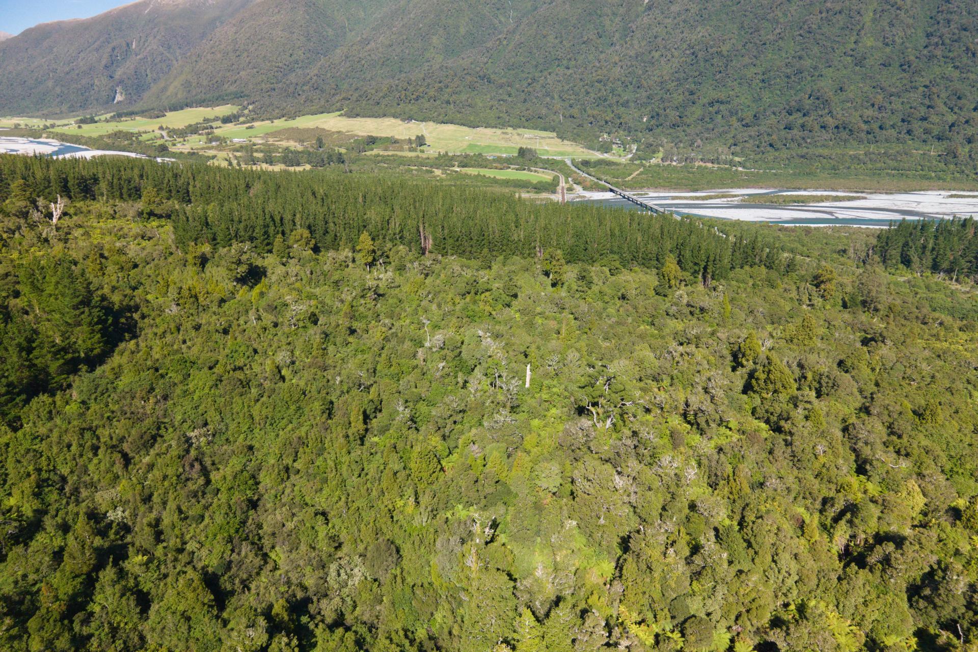Bell Hill Road, Inchbonnie