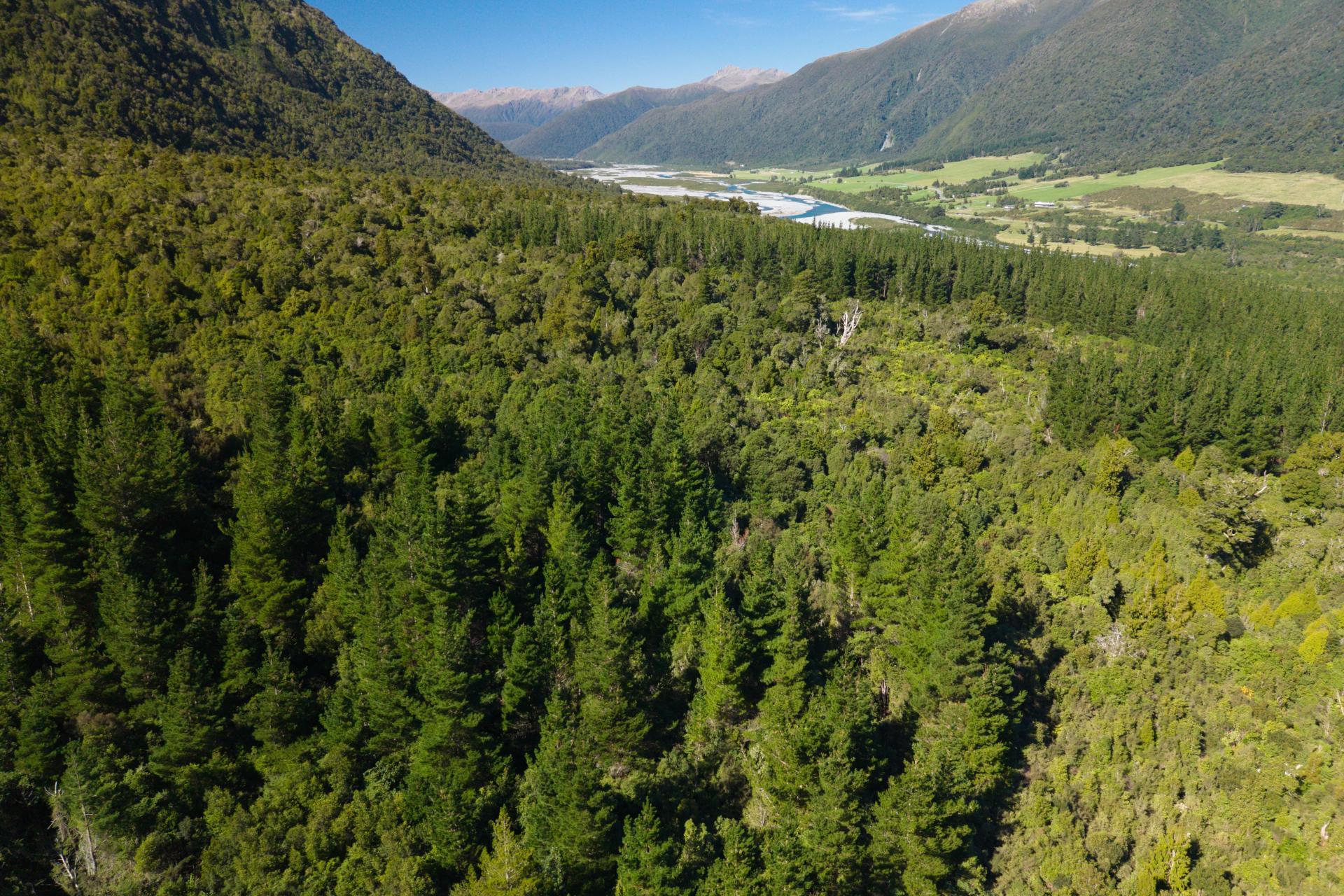Bell Hill Road, Inchbonnie