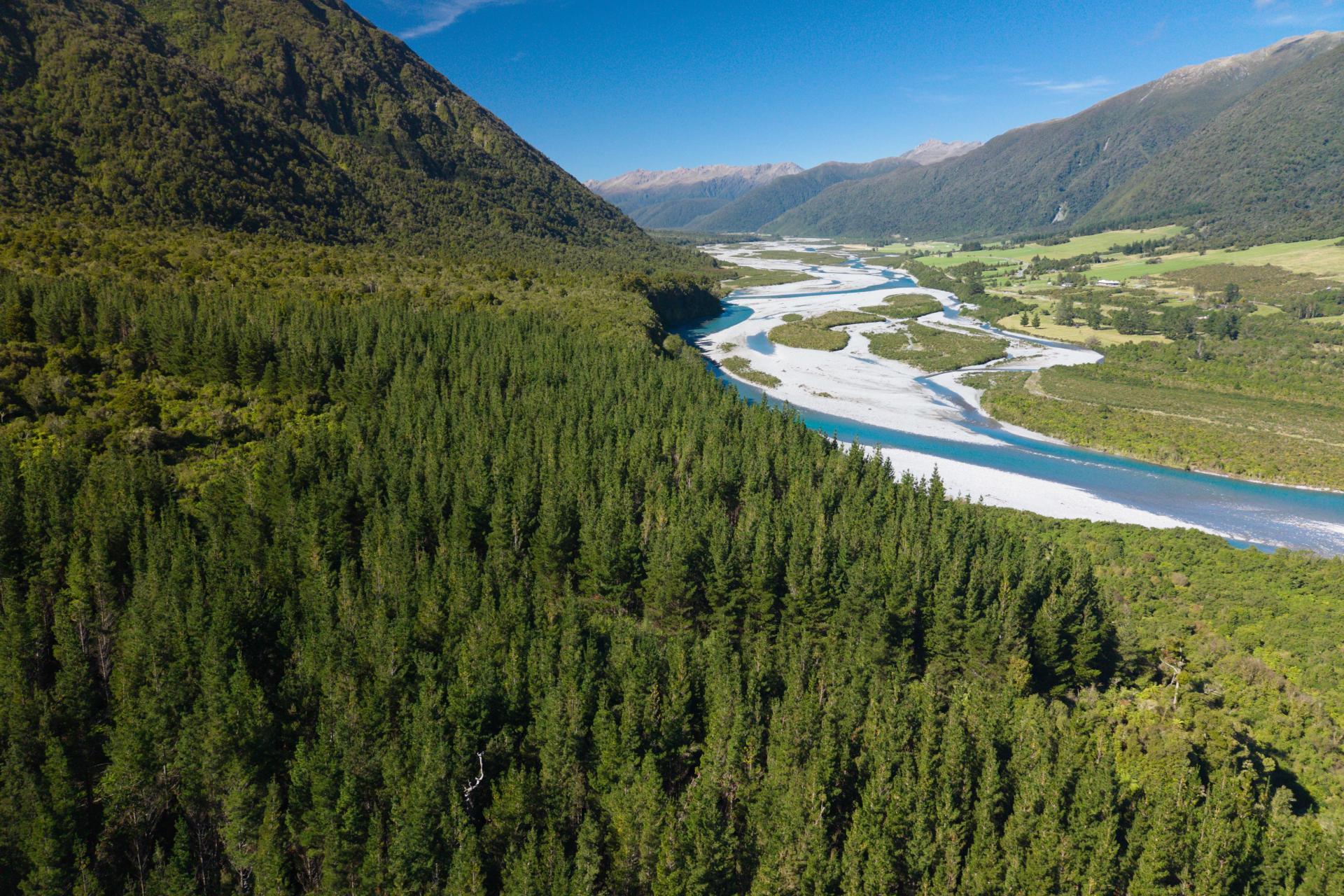 Bell Hill Road, Inchbonnie