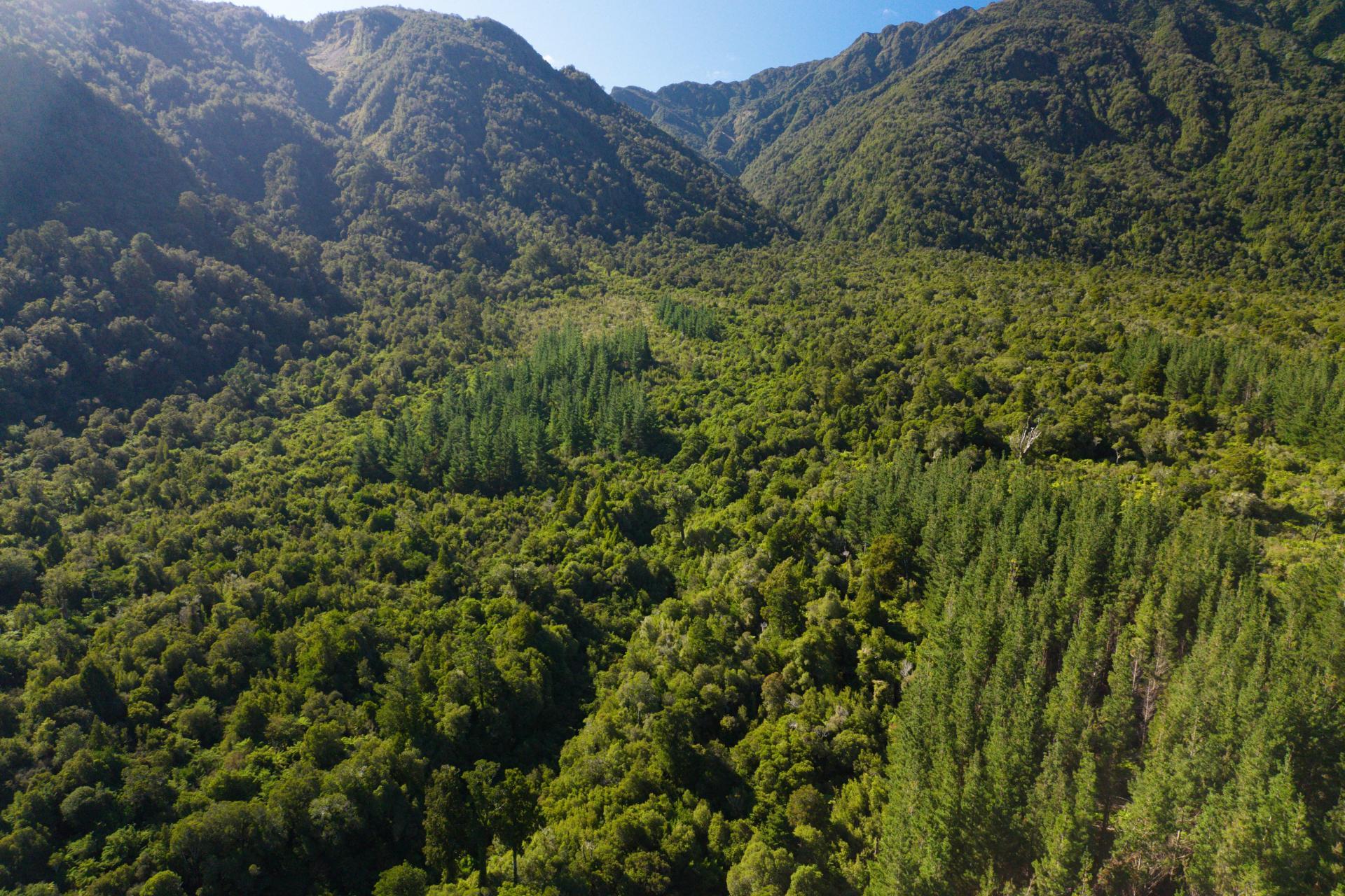 Bell Hill Road, Inchbonnie