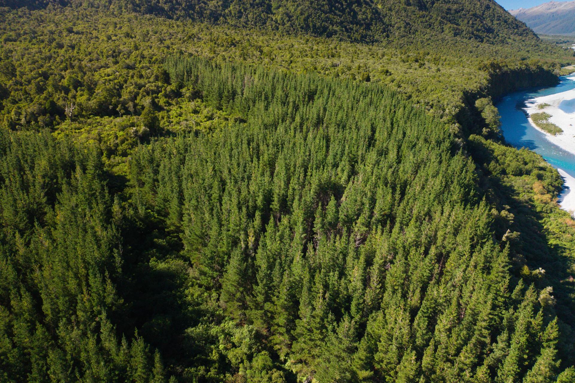 Bell Hill Road, Inchbonnie