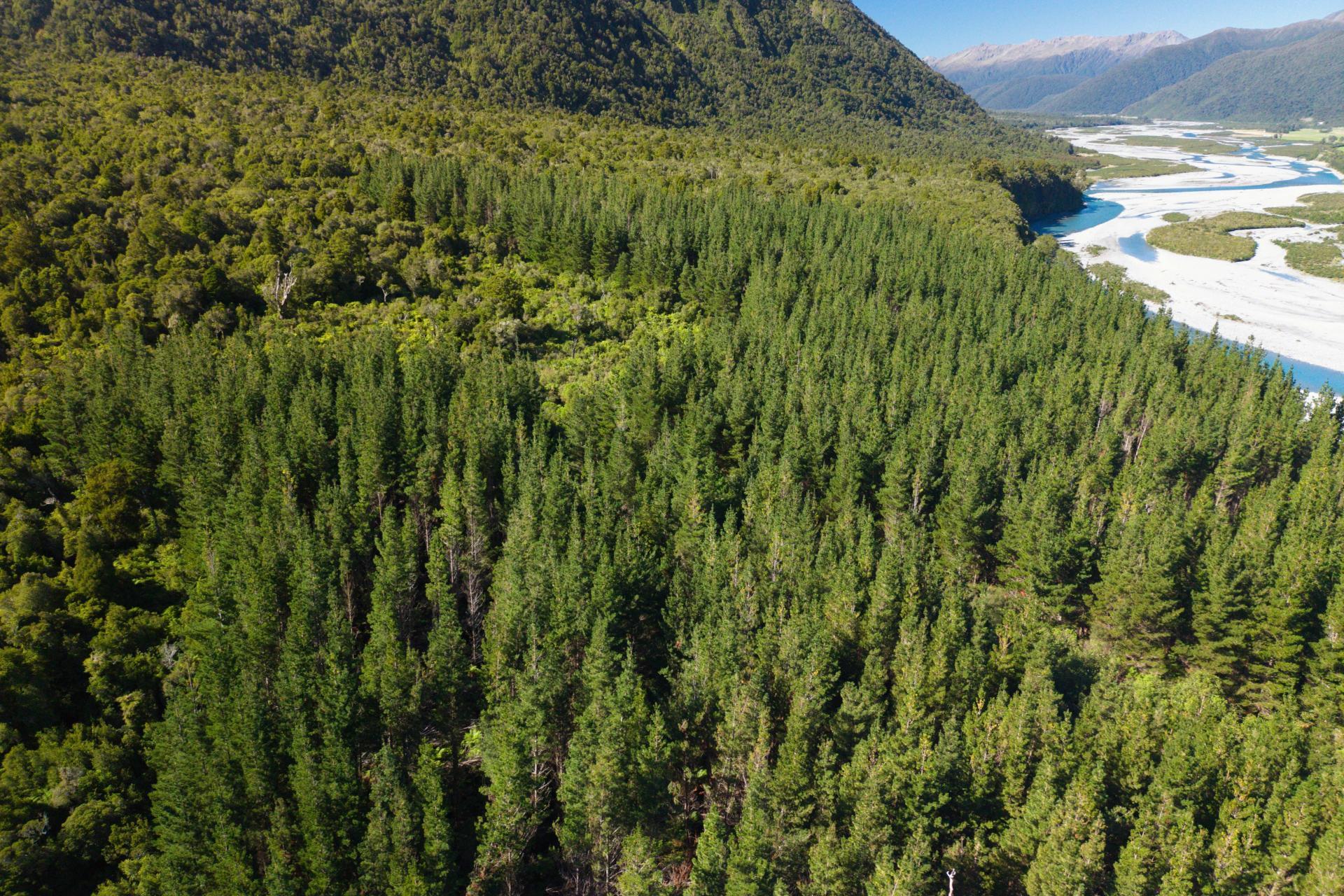 Bell Hill Road, Inchbonnie