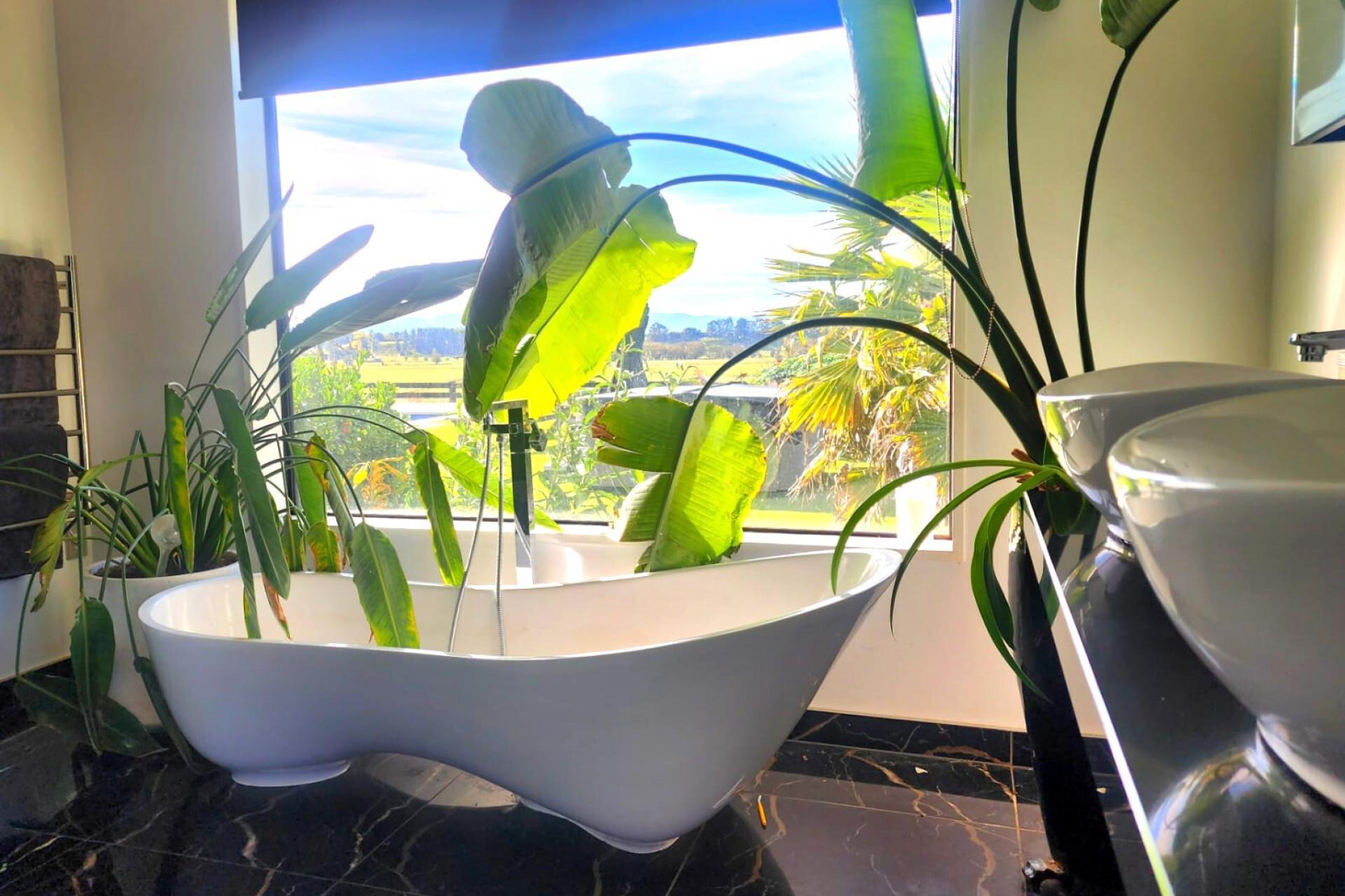 1227 Oxford Road, Cust