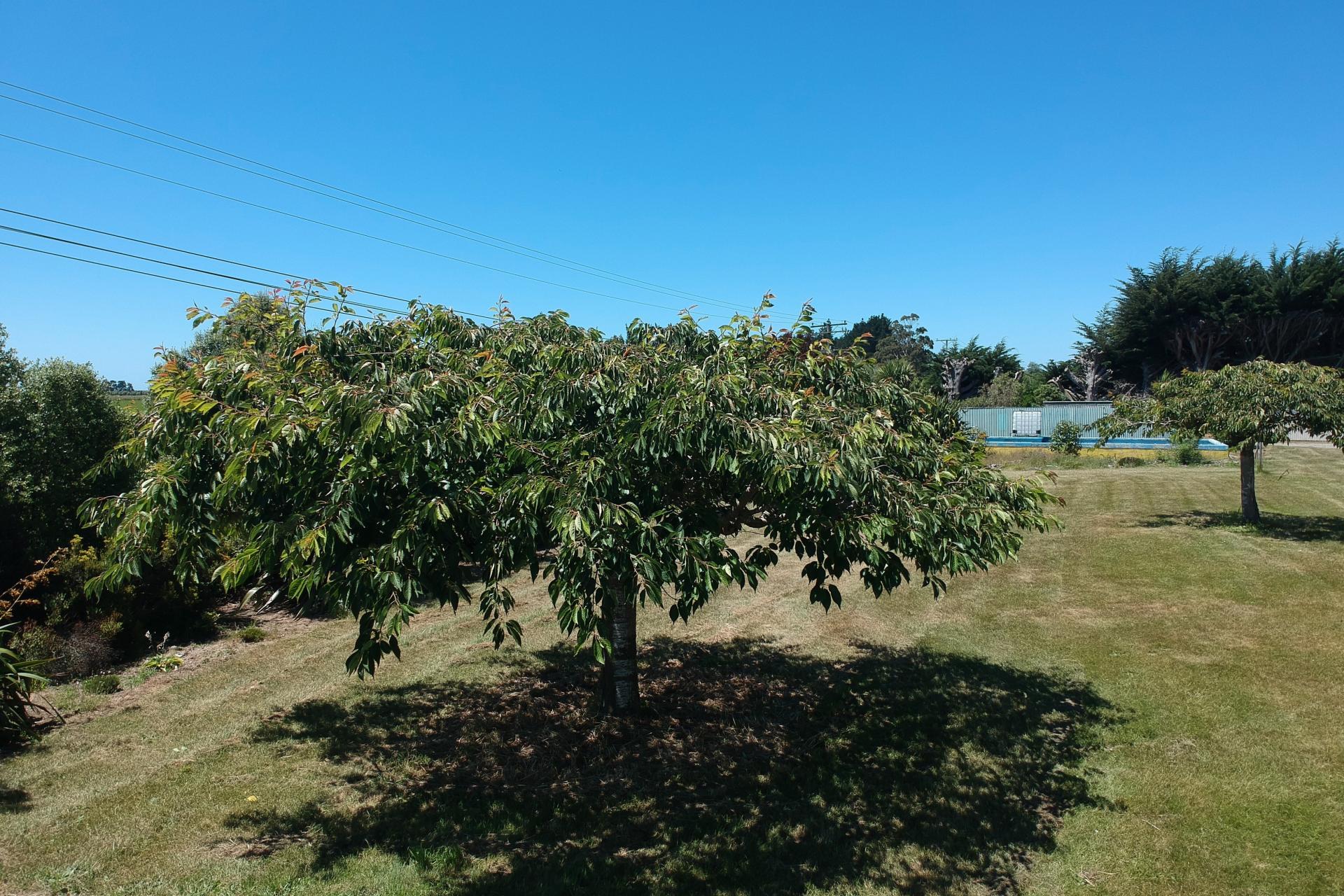 135 Hilderthorpe Road, Hilderthorpe