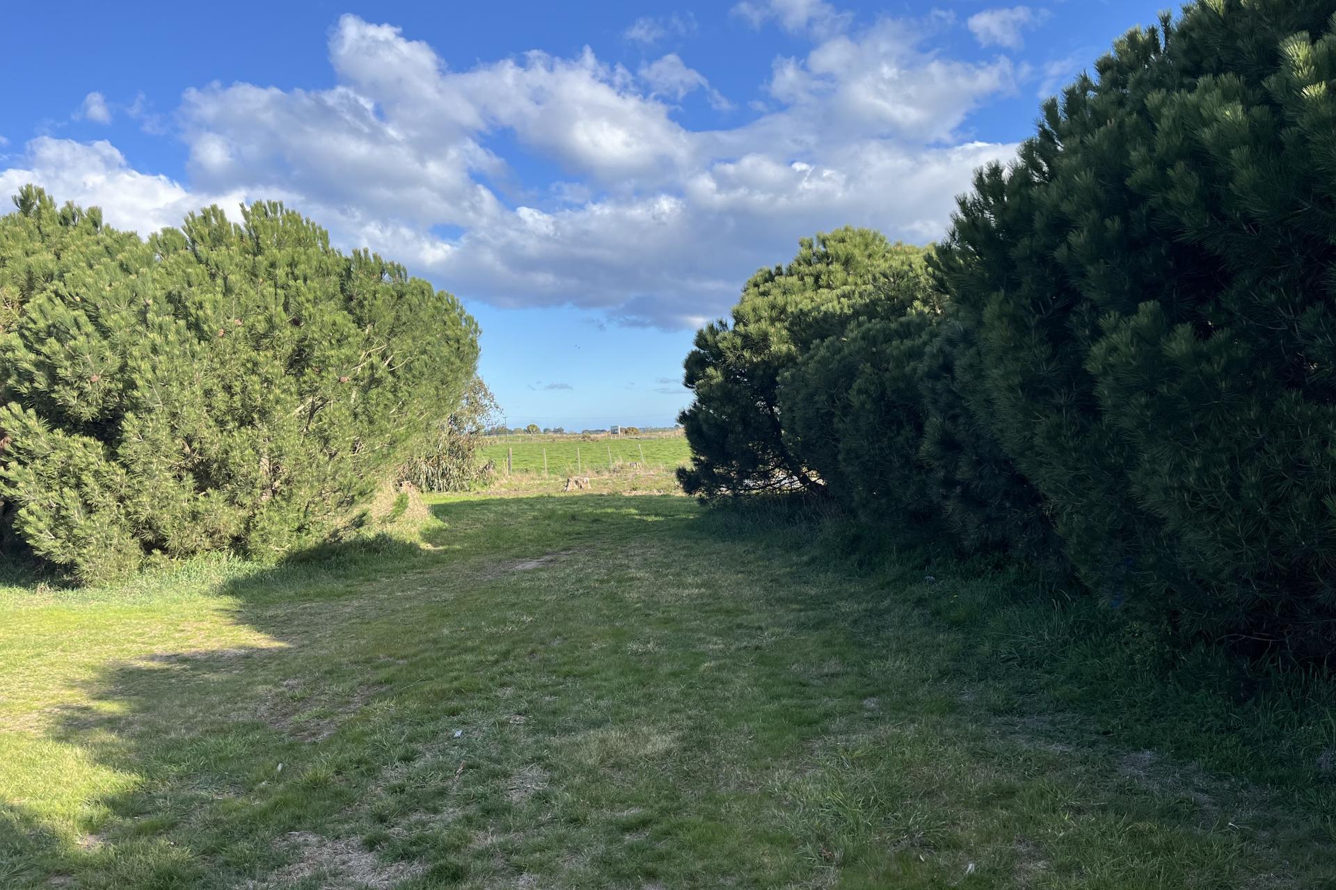 135 Hilderthorpe Road, Hilderthorpe