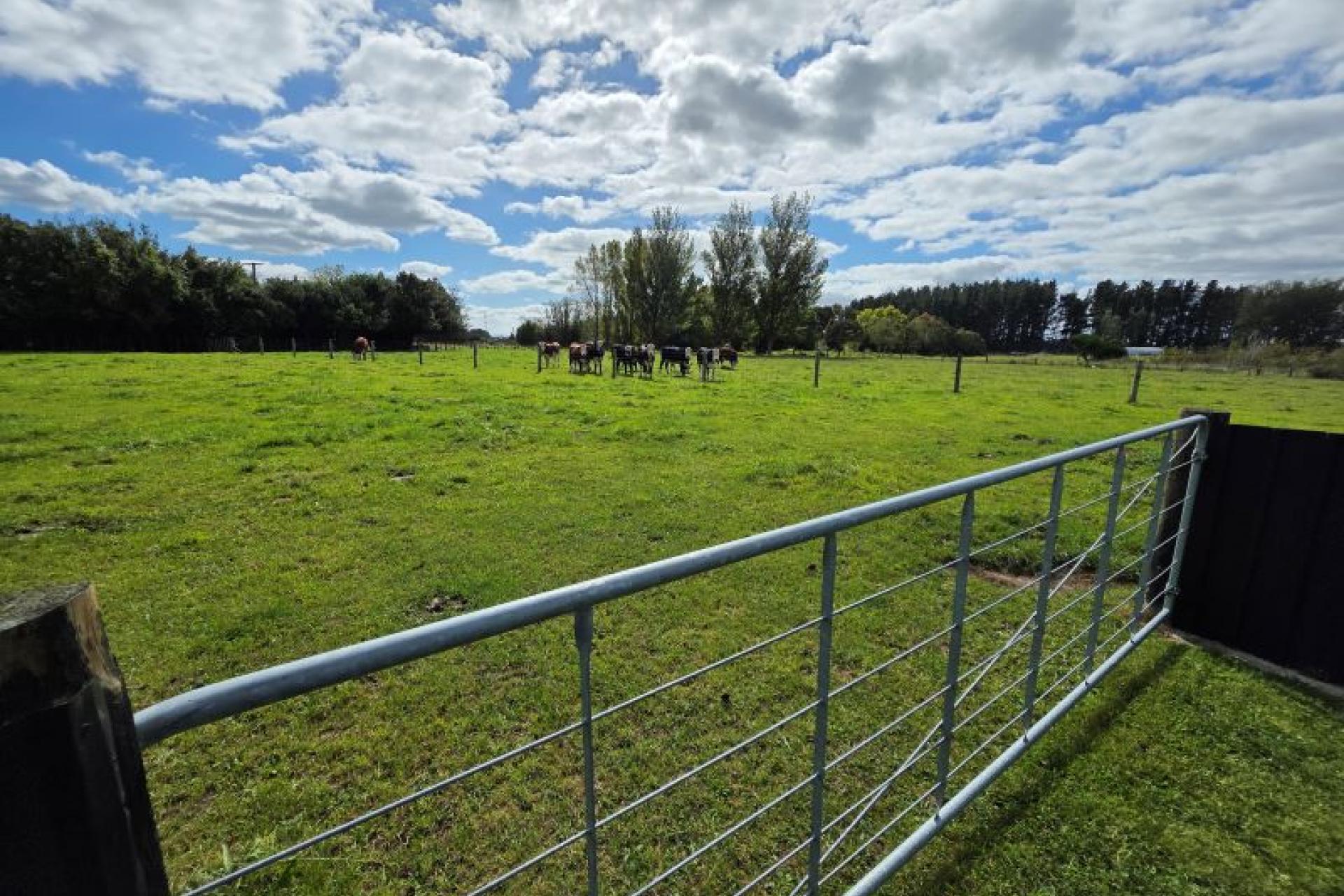 381A Park Road, Carterton