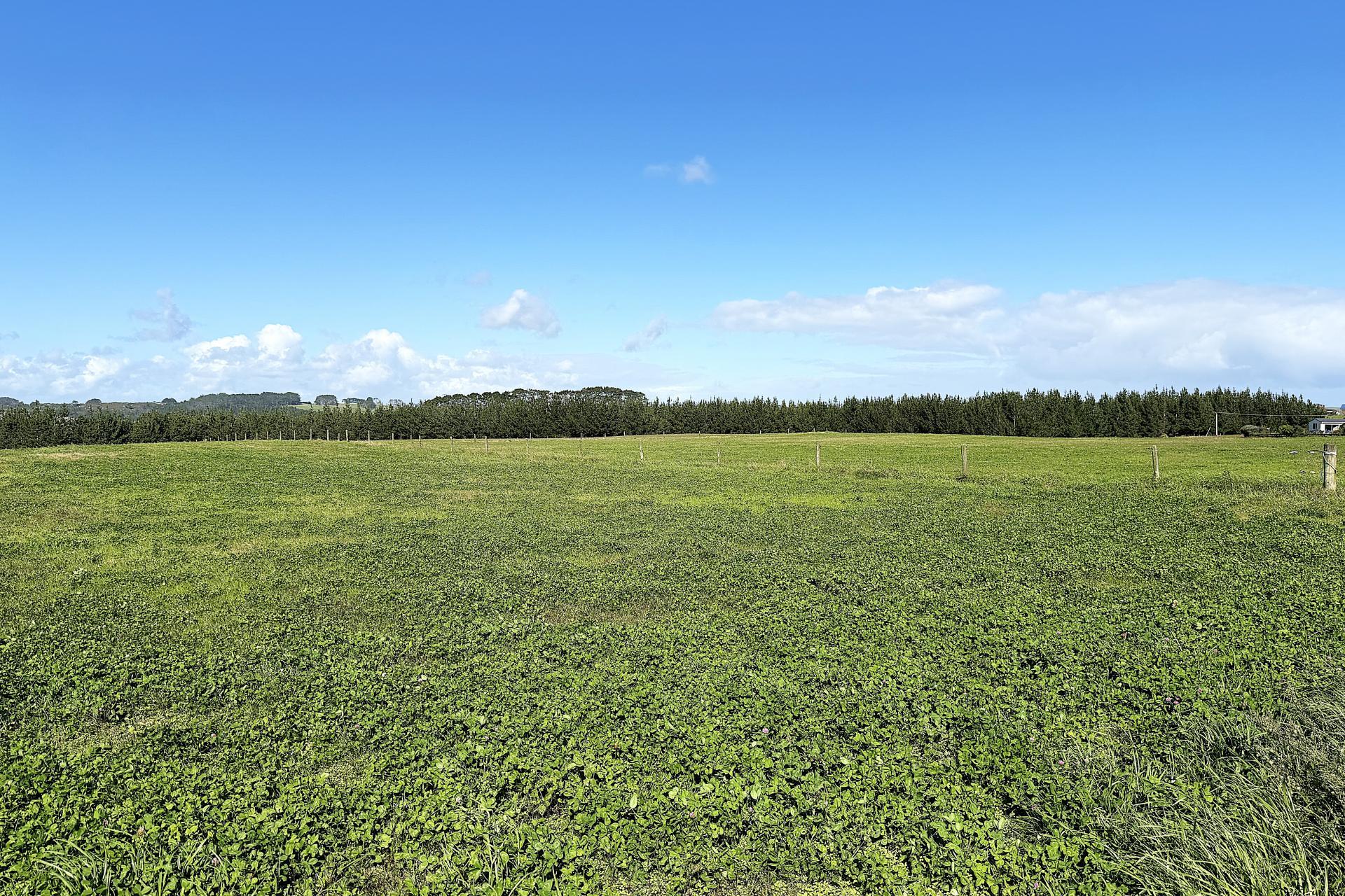 413A Baylys Coast Road, Dargaville