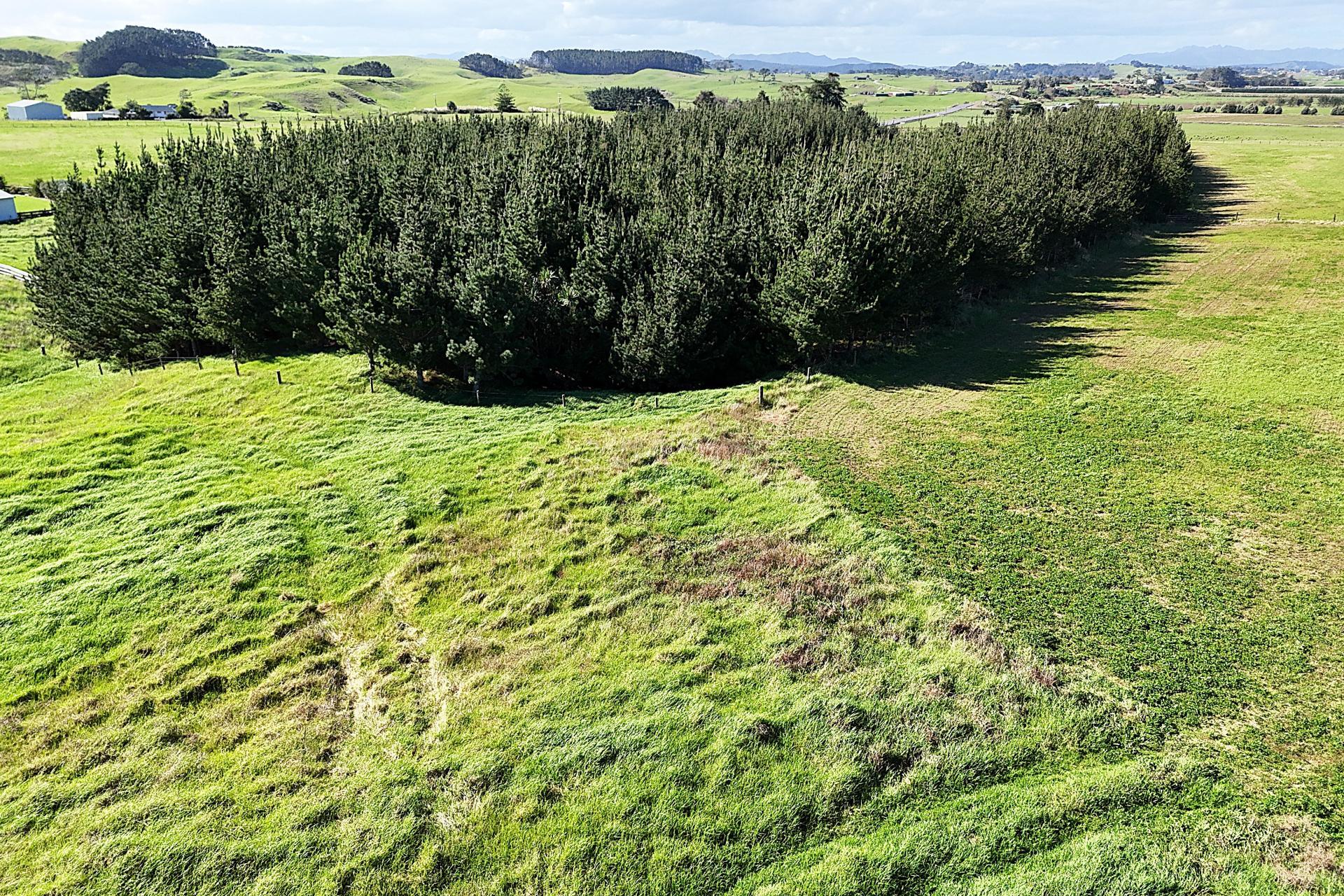 413A Baylys Coast Road, Dargaville