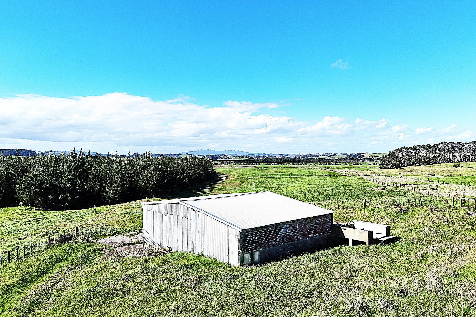 413A Baylys Coast Road, Dargaville
