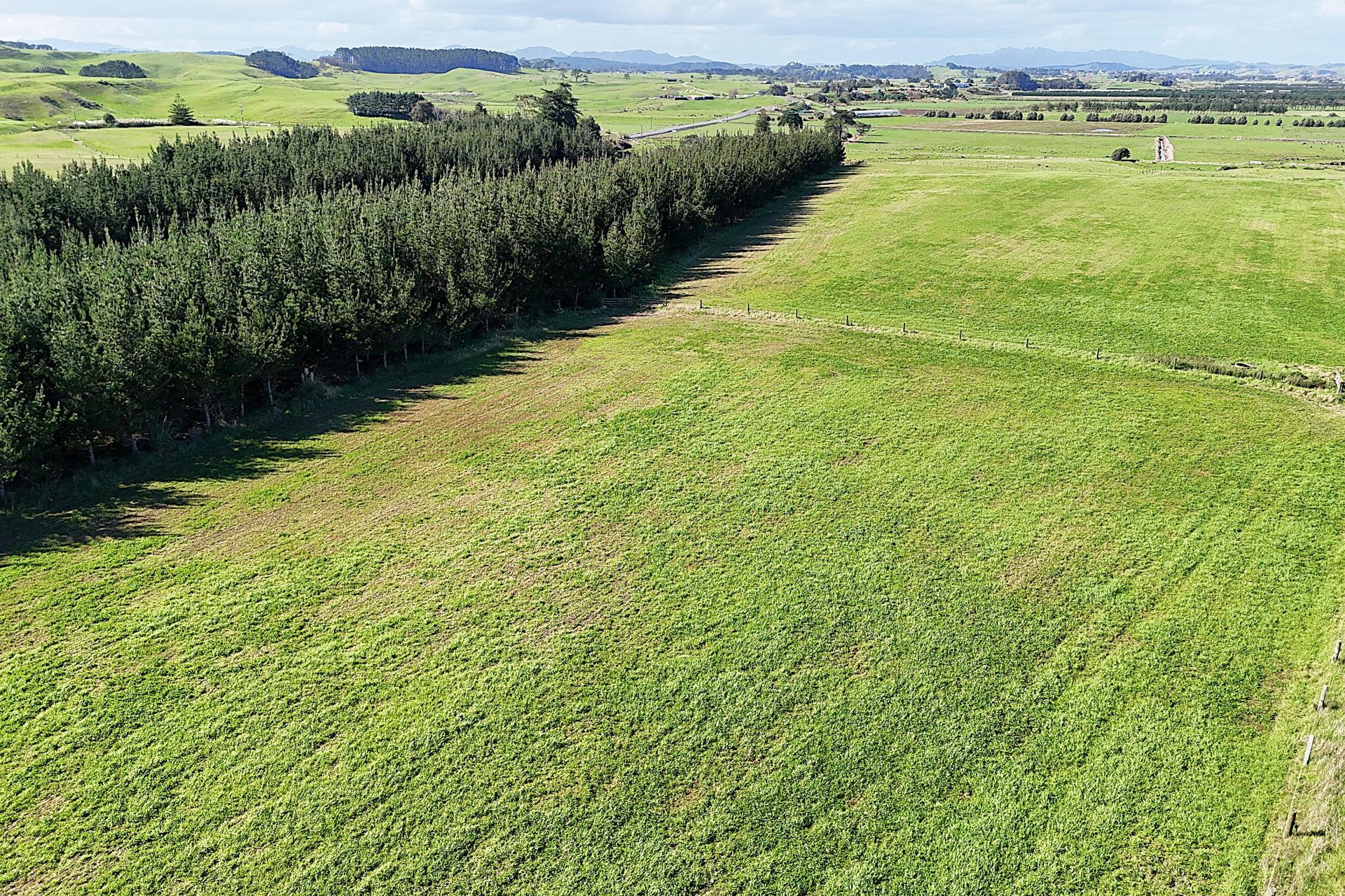 413A Baylys Coast Road, Dargaville